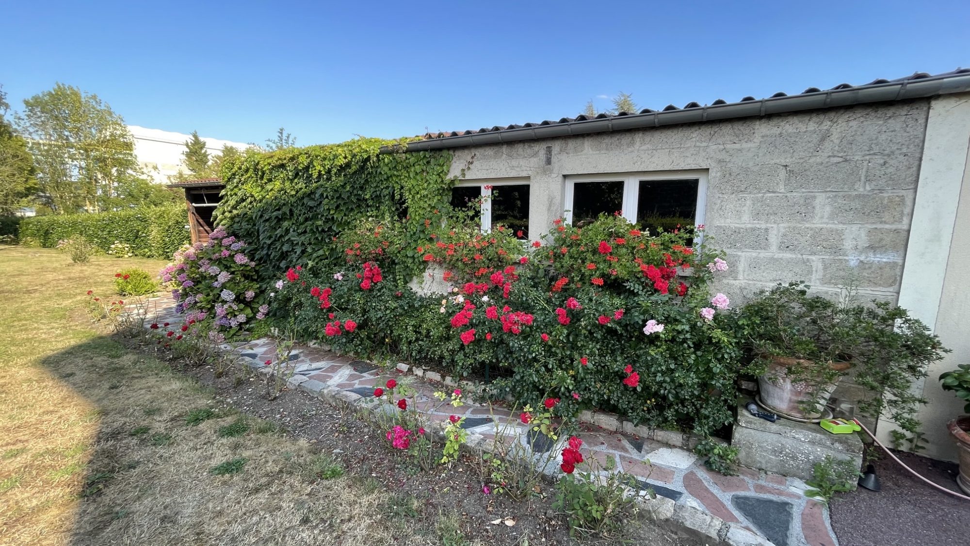 Photo 12 — JMJ Immobilier