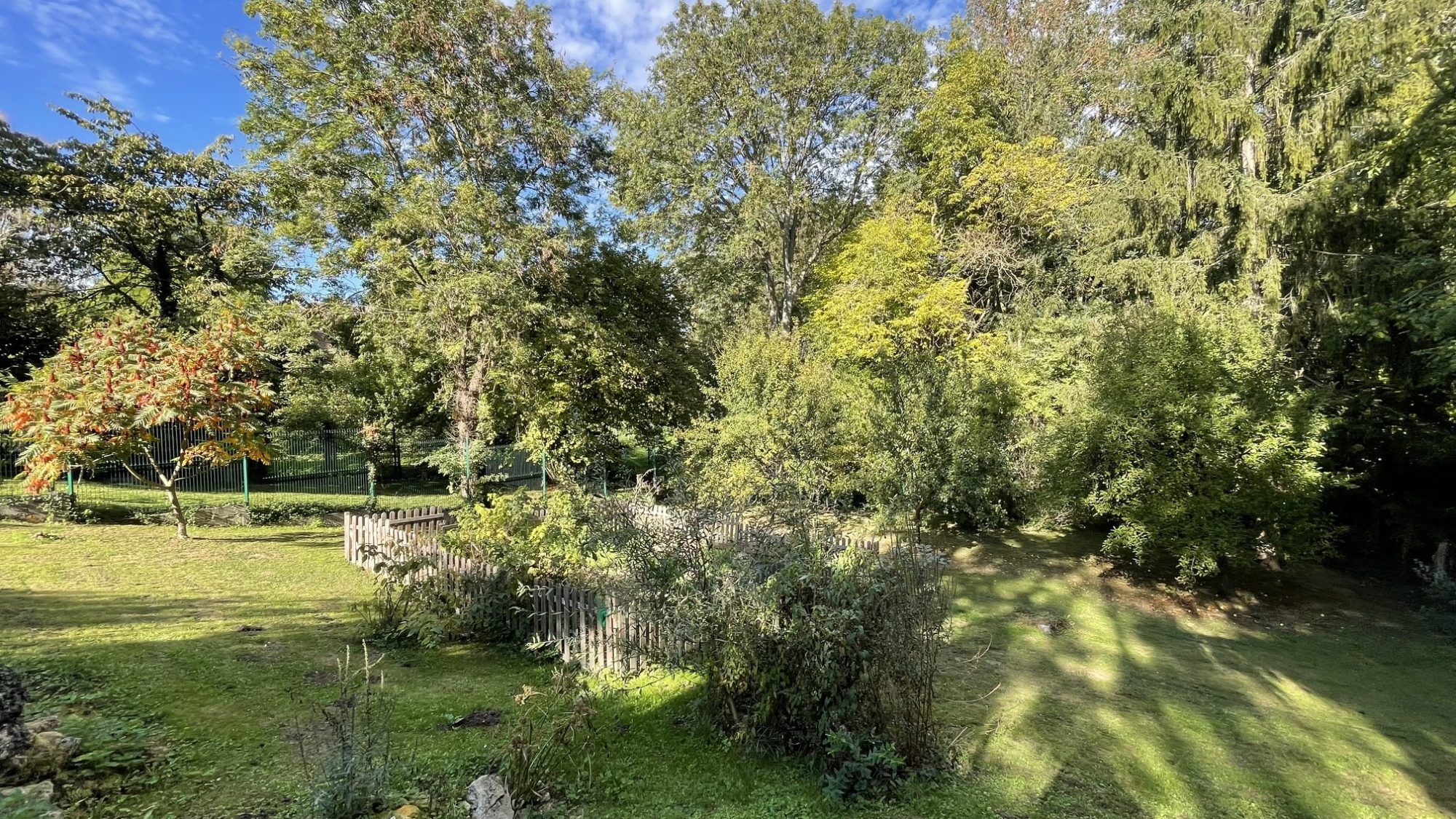 Photo 12 — JMJ Immobilier