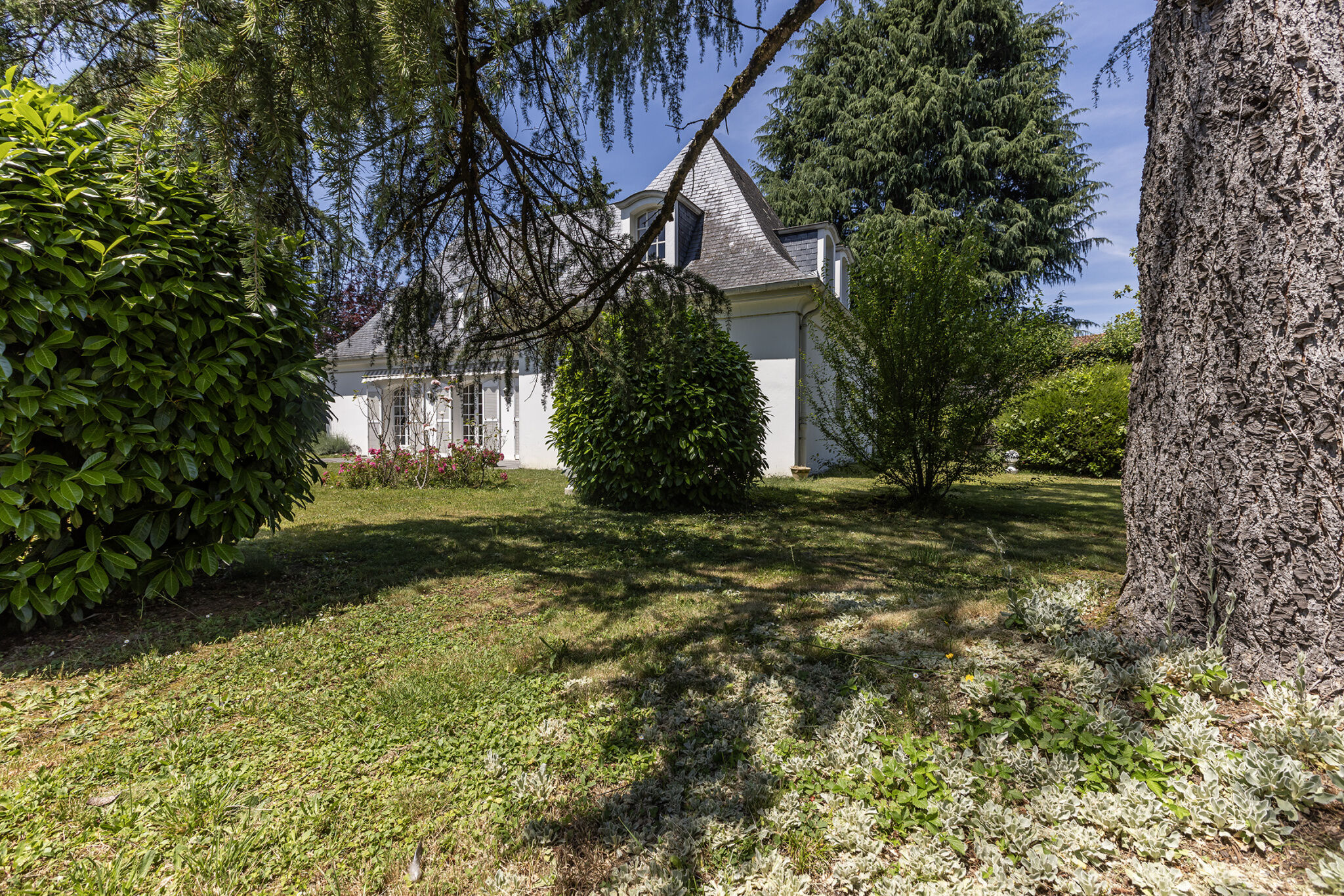 Photo 2 — AFI IMMOBILIER