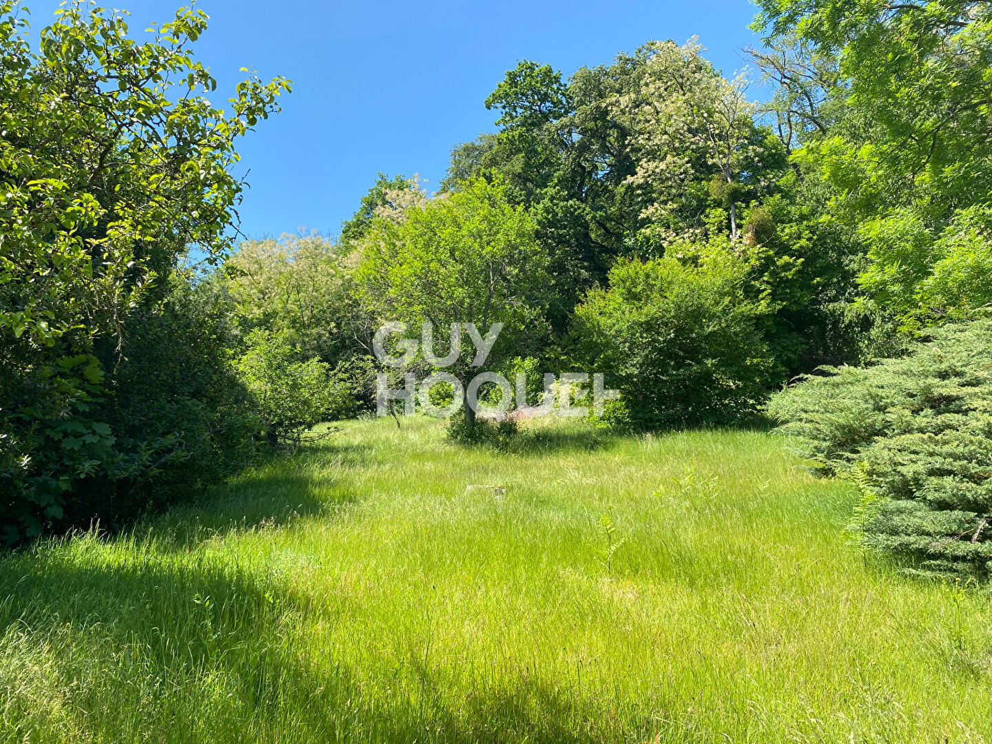 Photo 3 — GUY HOQUET L'IMMOBILIER - LACROIX