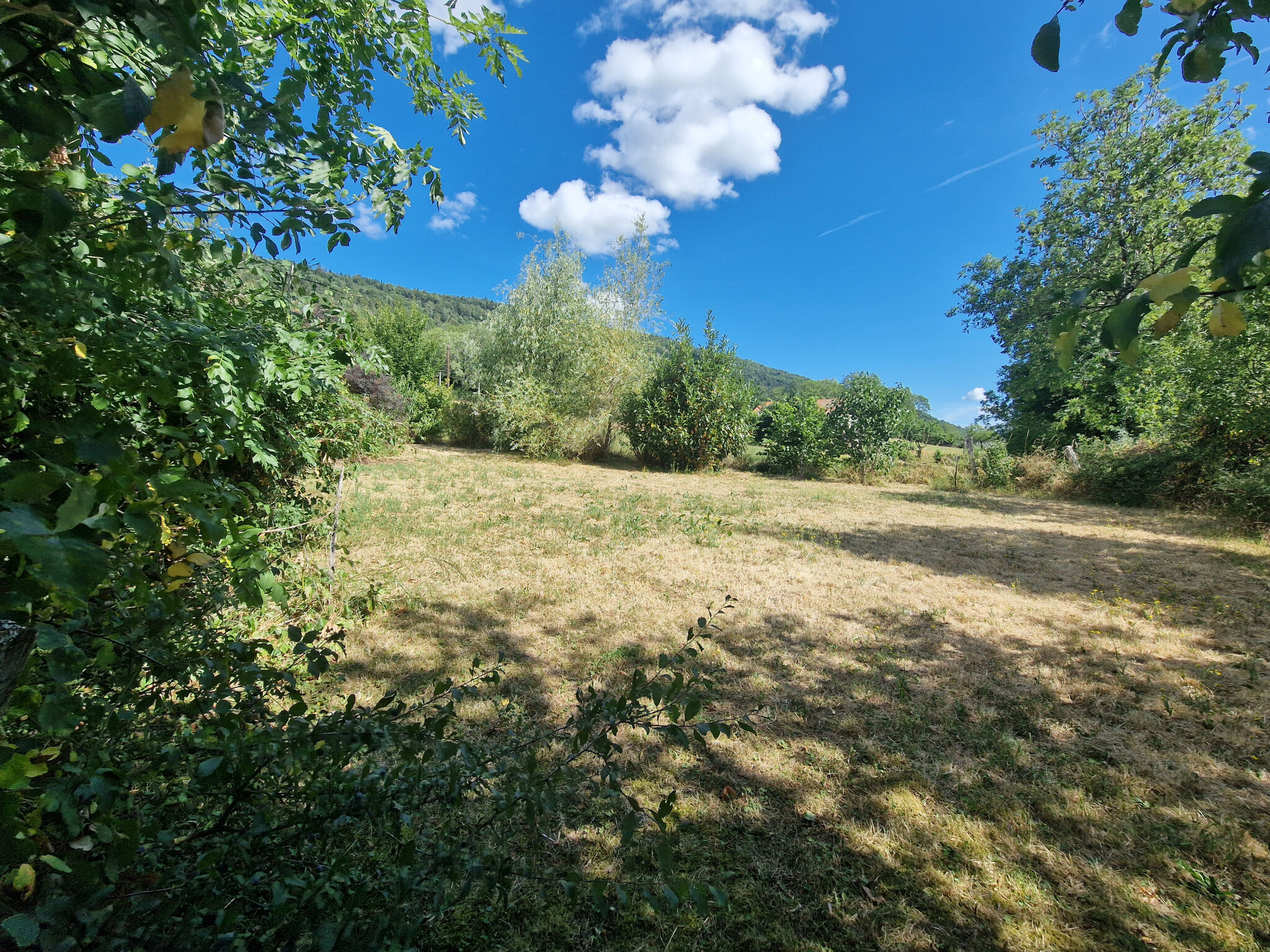 Photo 15 — Exceptimmo