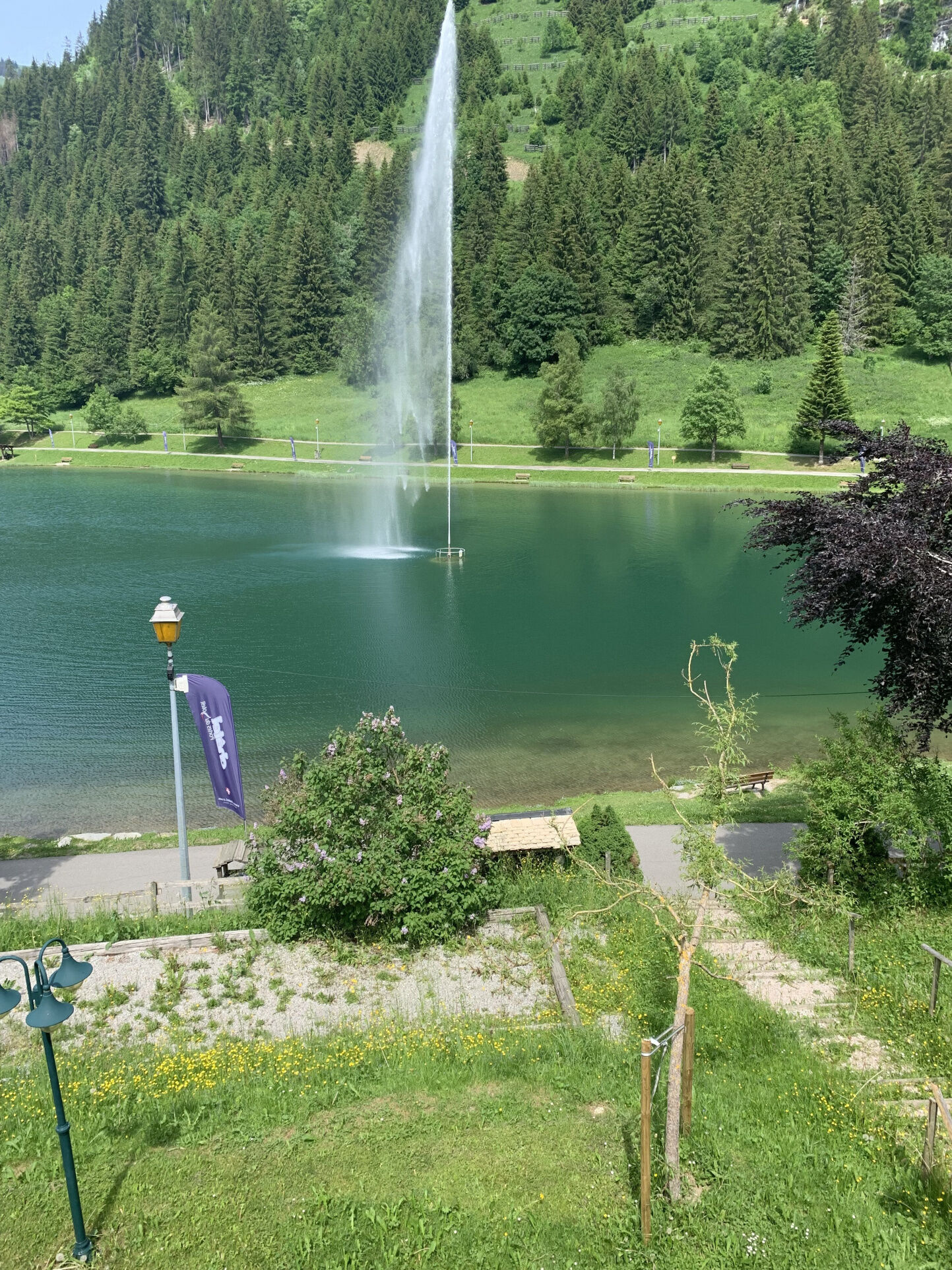 Photo 13 — Exceptimmo