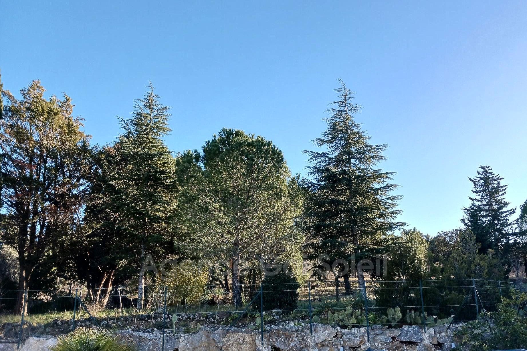 Photo 2 — GAI SOLEIL