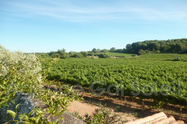 Photo 15 — GAI SOLEIL