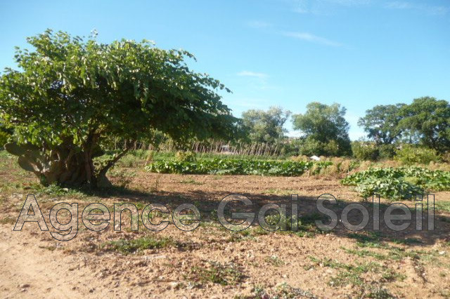 Photo 3 — GAI SOLEIL