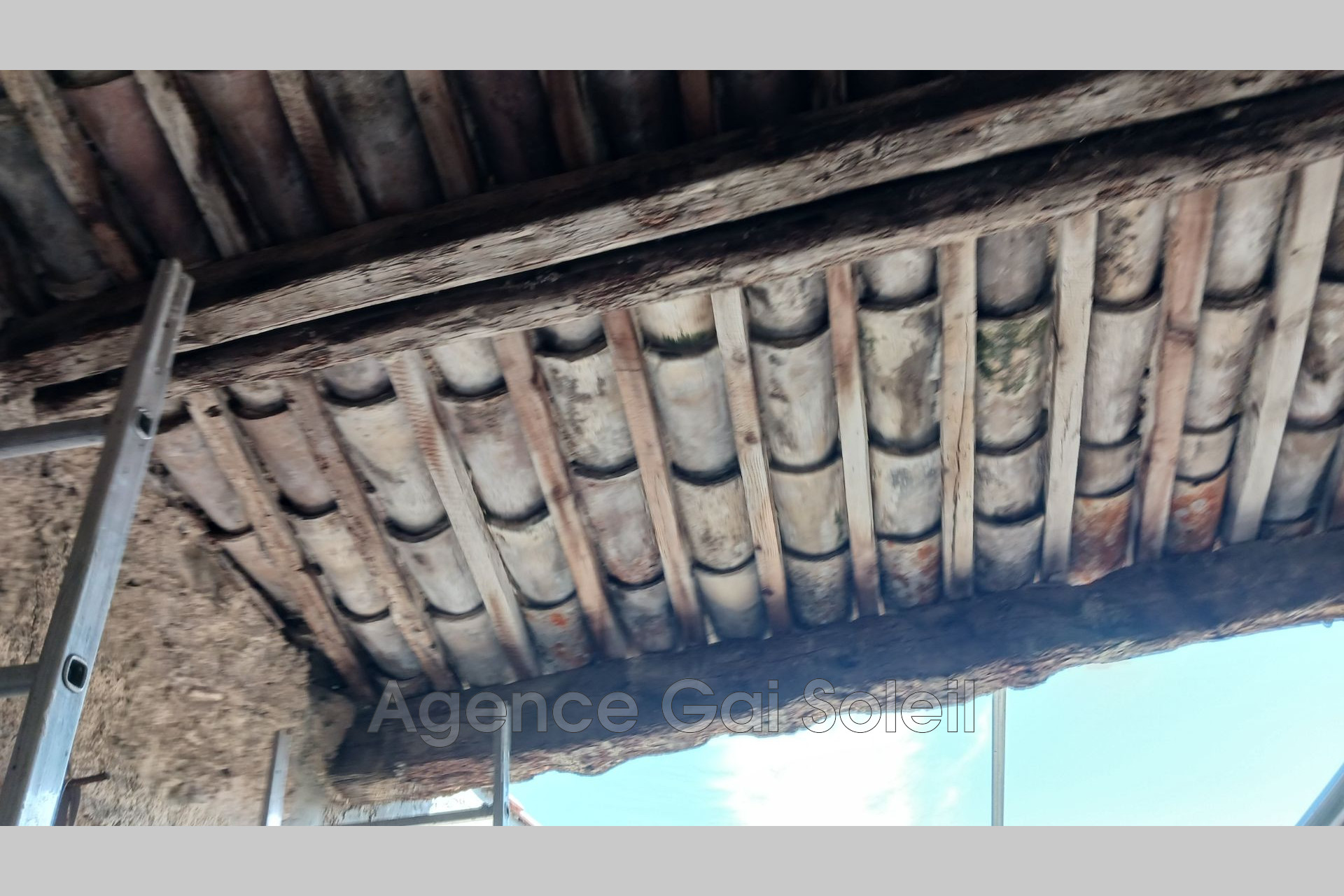 Photo 9 — GAI SOLEIL