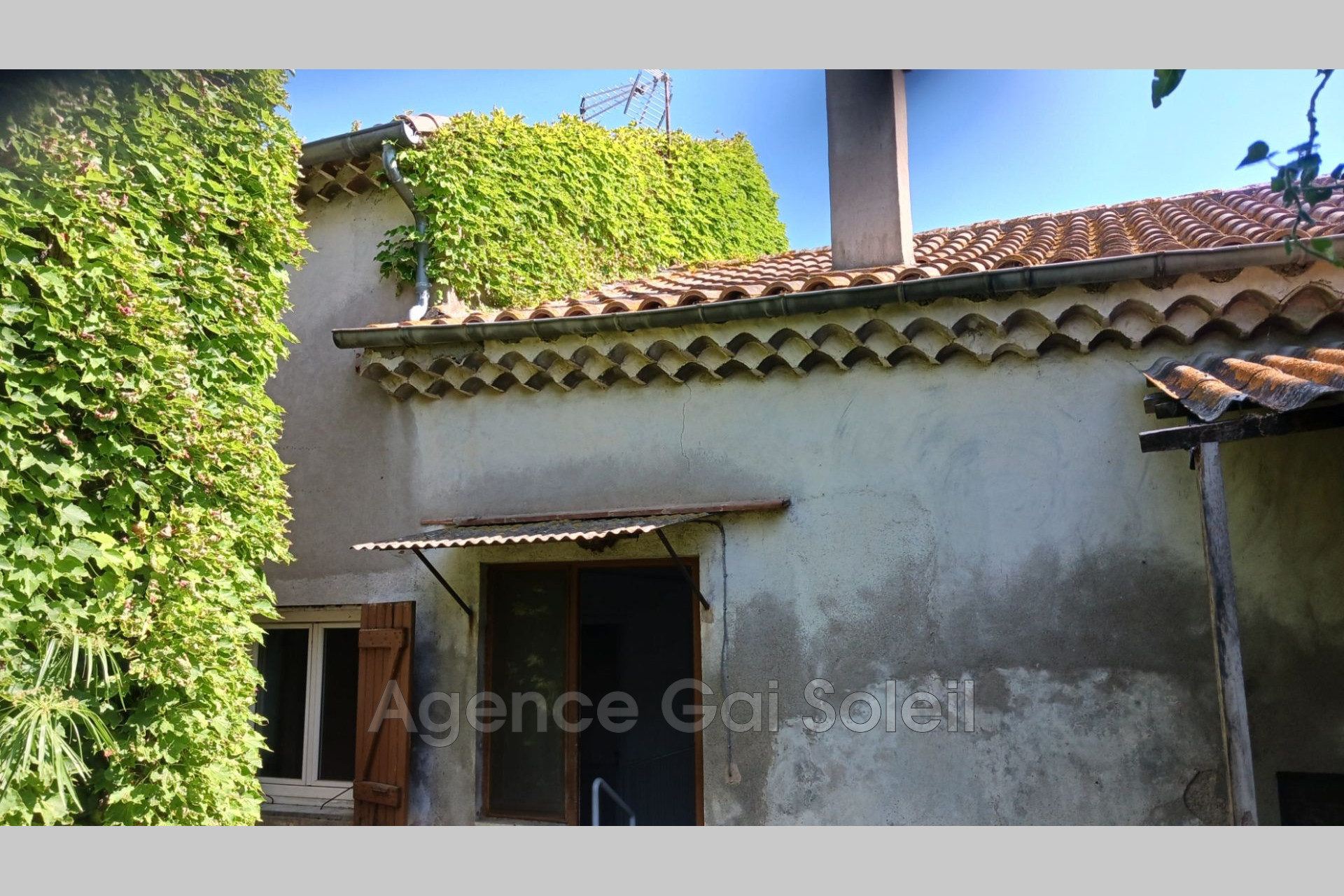 Photo 3 — GAI SOLEIL