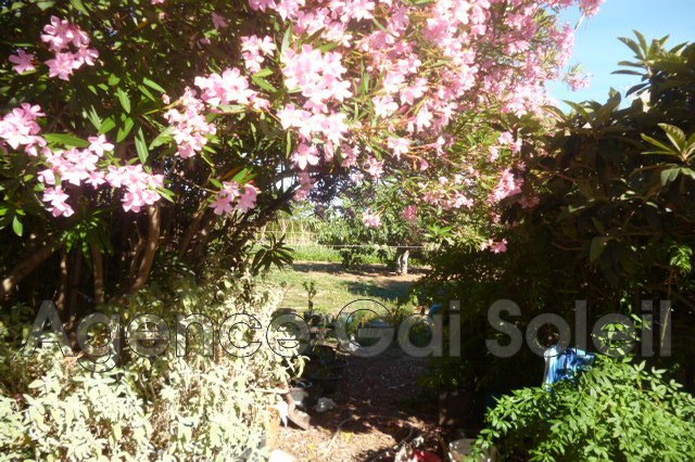 Photo 3 — GAI SOLEIL