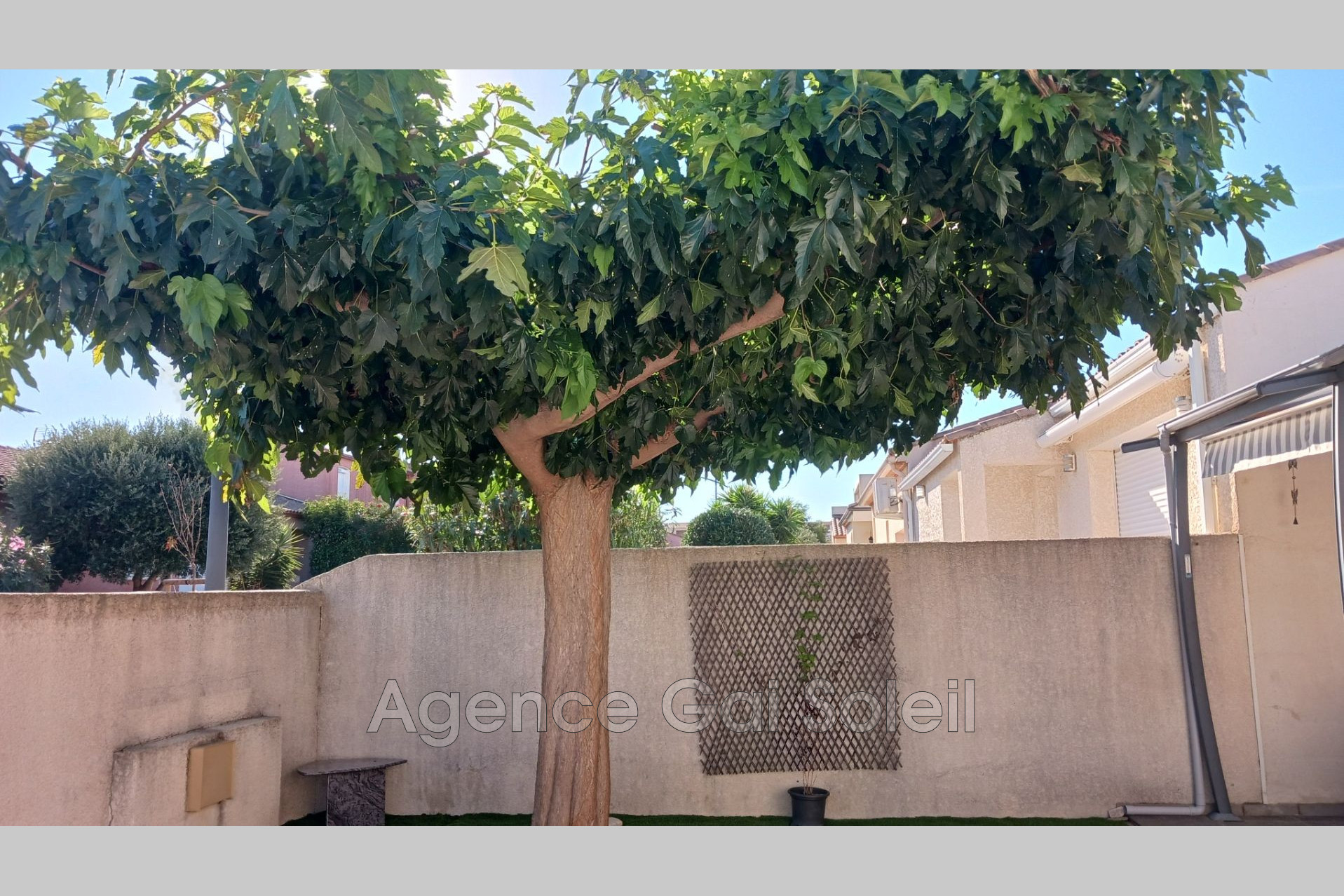 Photo 7 — GAI SOLEIL
