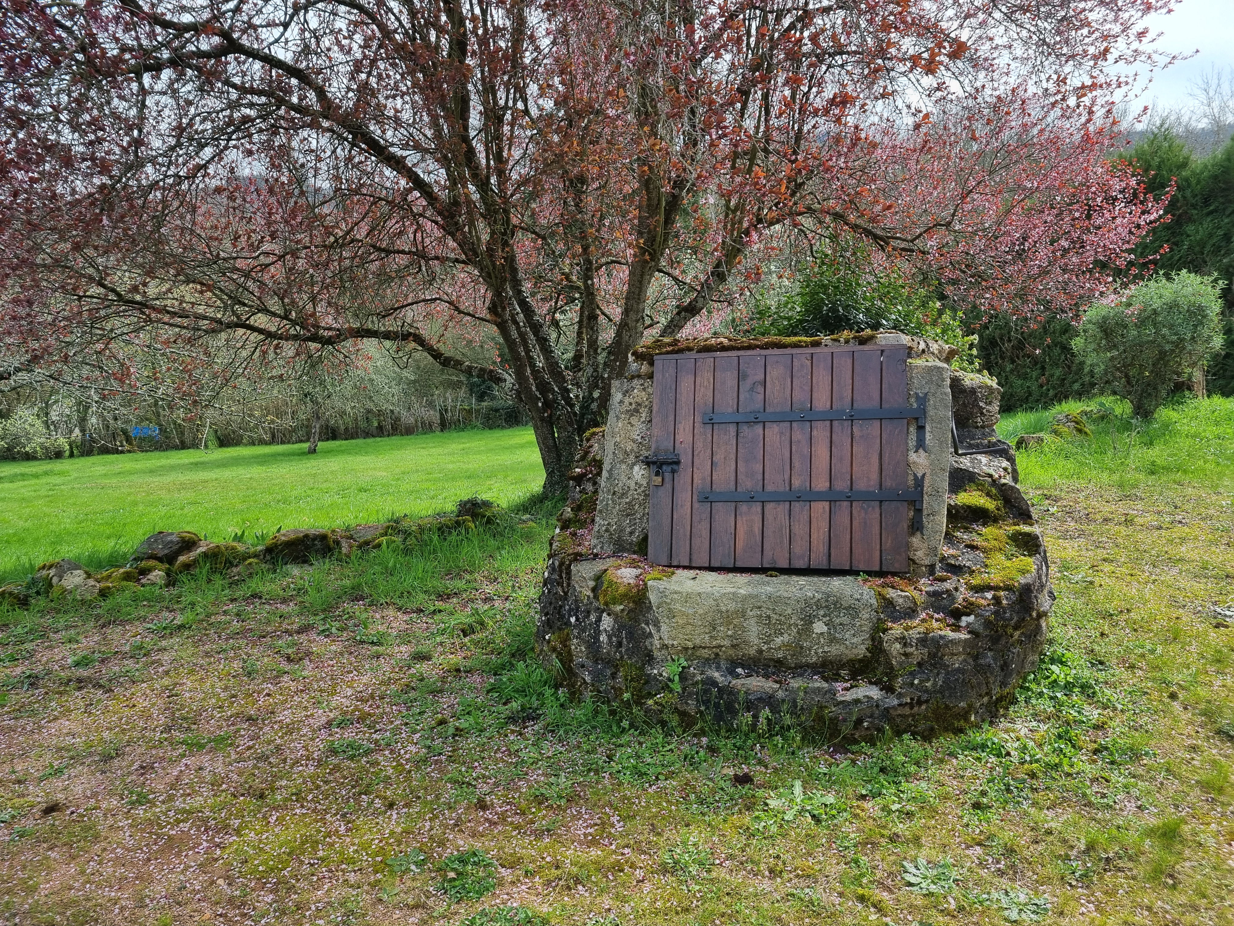 Photo 15 — L'AGENCE DU CHATEAU