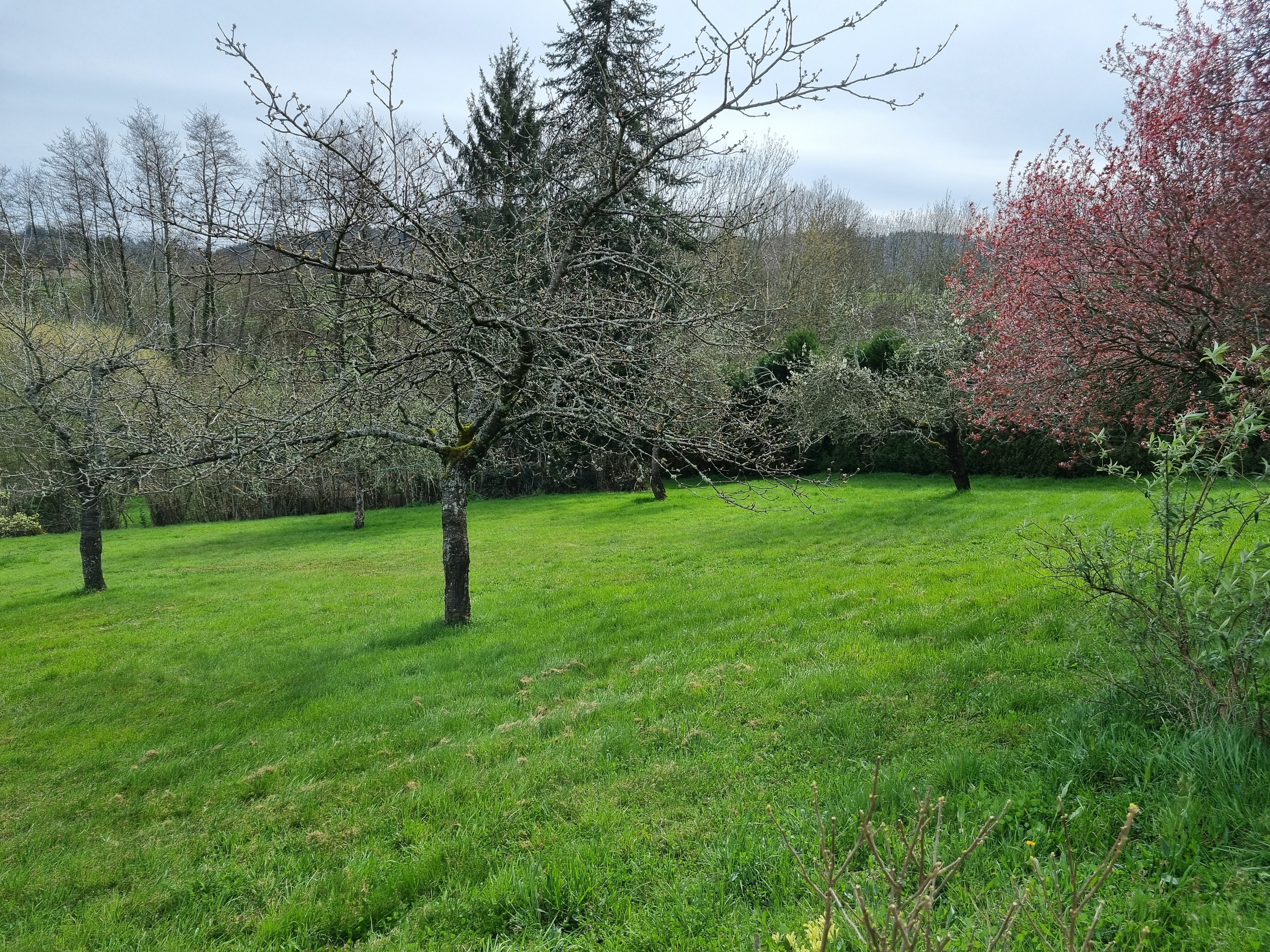 Photo 16 — L'AGENCE DU CHATEAU