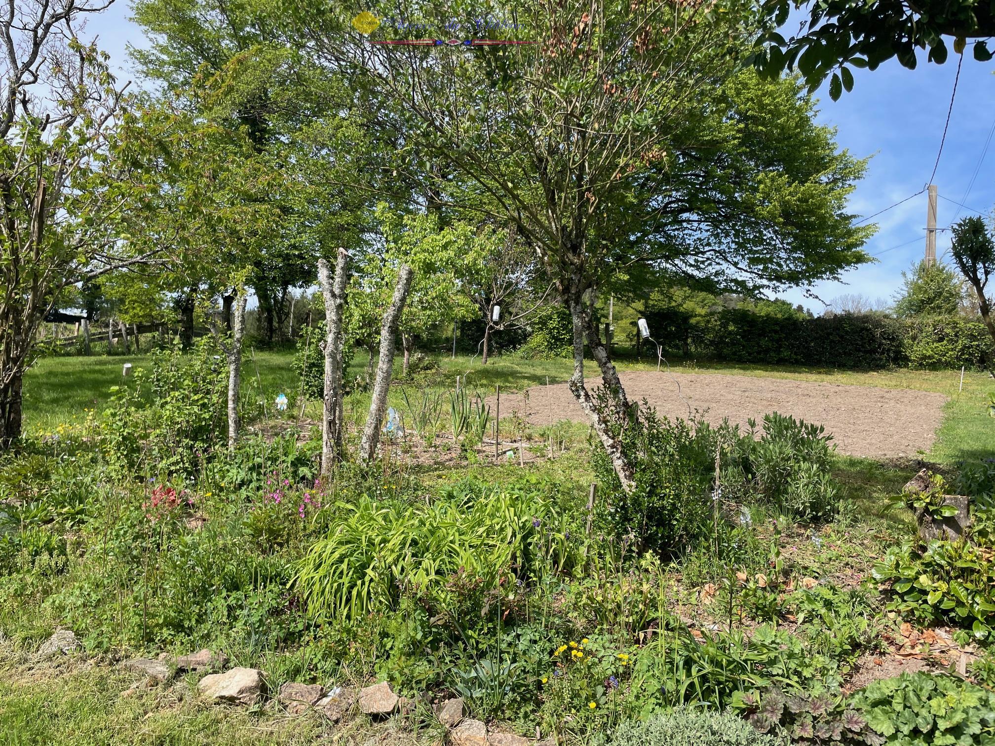 Photo 12 — L'AGENCE DU CHATEAU