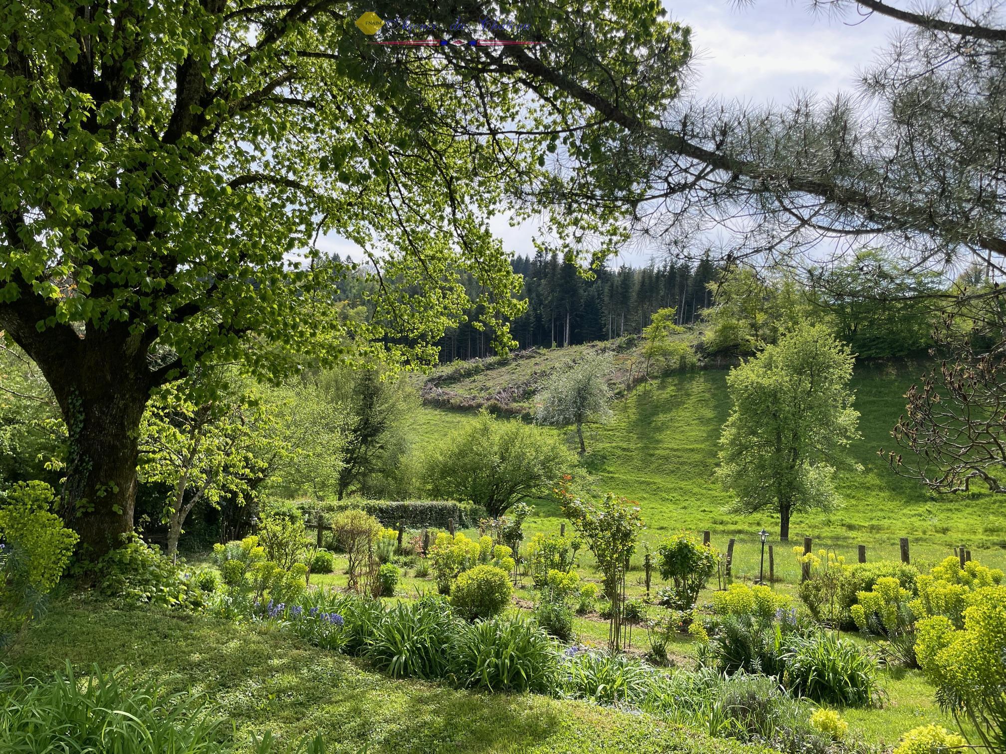 Photo 3 — L'AGENCE DU CHATEAU