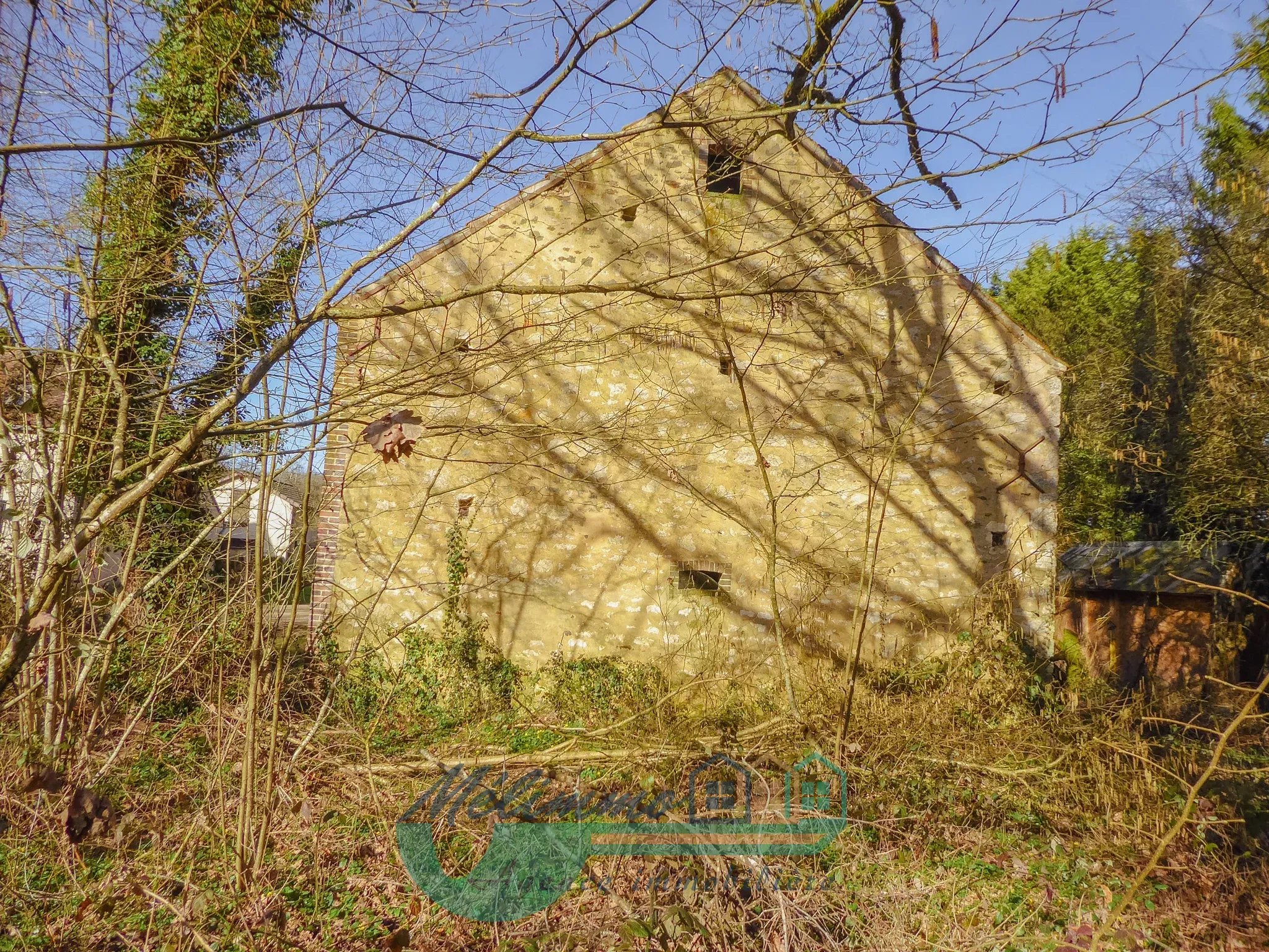 Photo 6 — MELIMMO