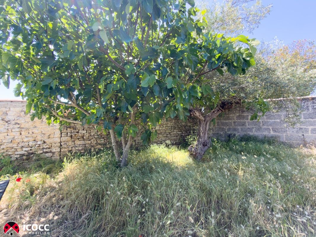 Photo 17 — ICOCC IMMOBILIER