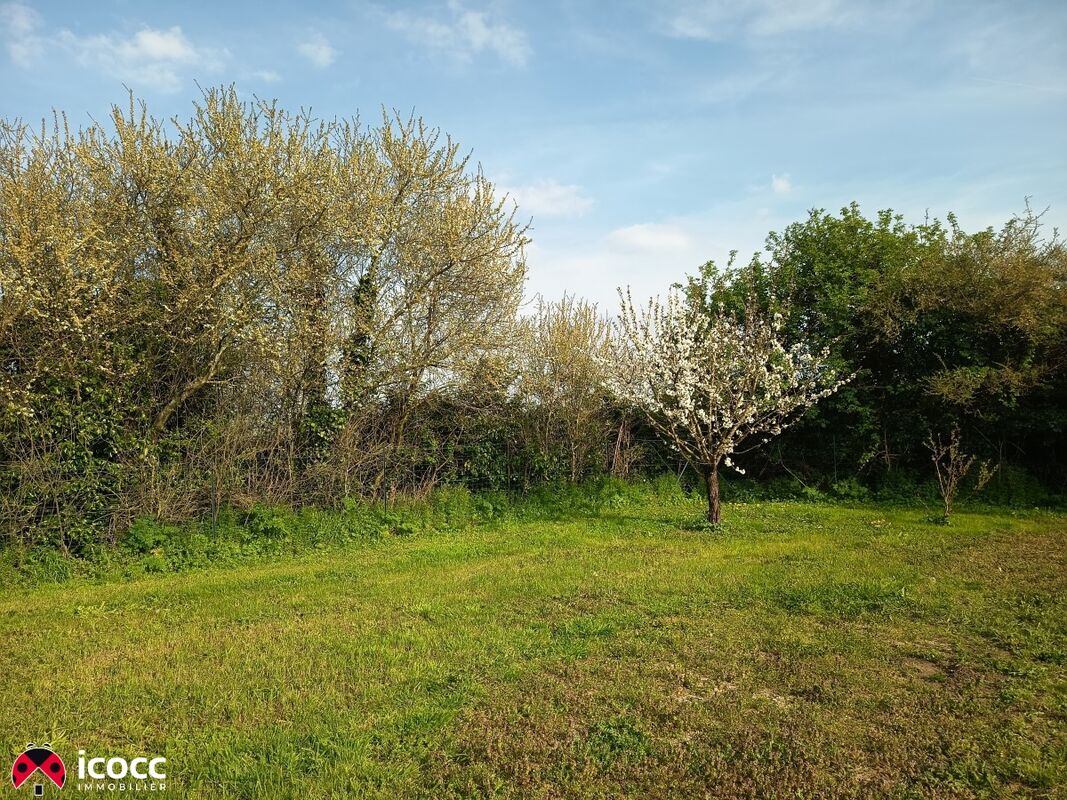 Photo 12 — ICOCC IMMOBILIER