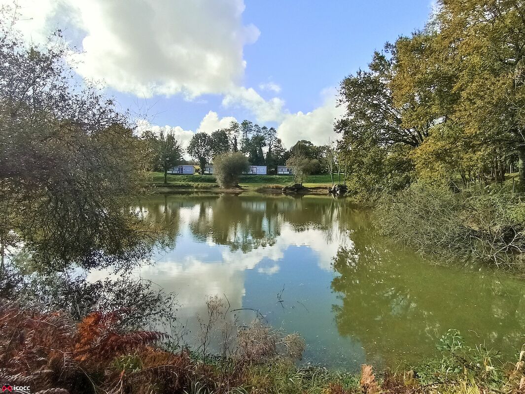 Photo 12 — ICOCC IMMOBILIER