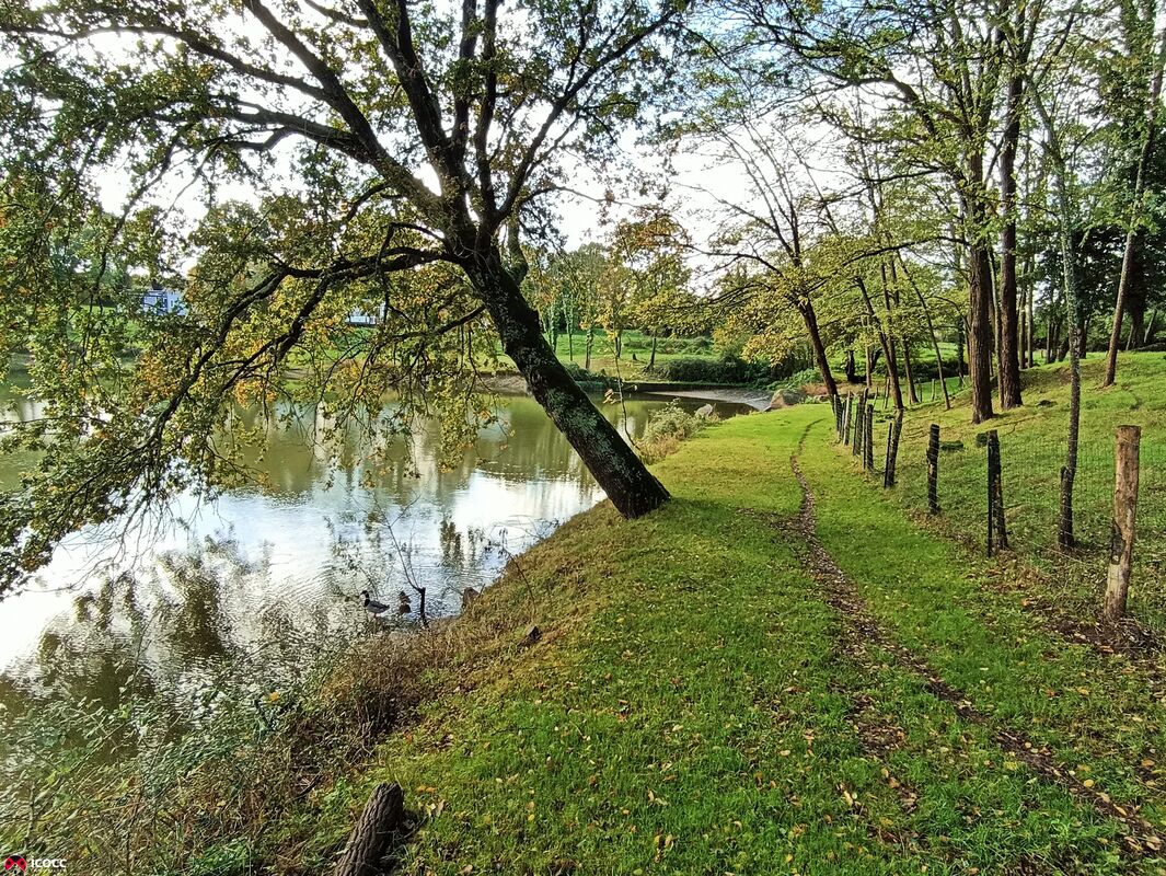 Photo 18 — ICOCC IMMOBILIER
