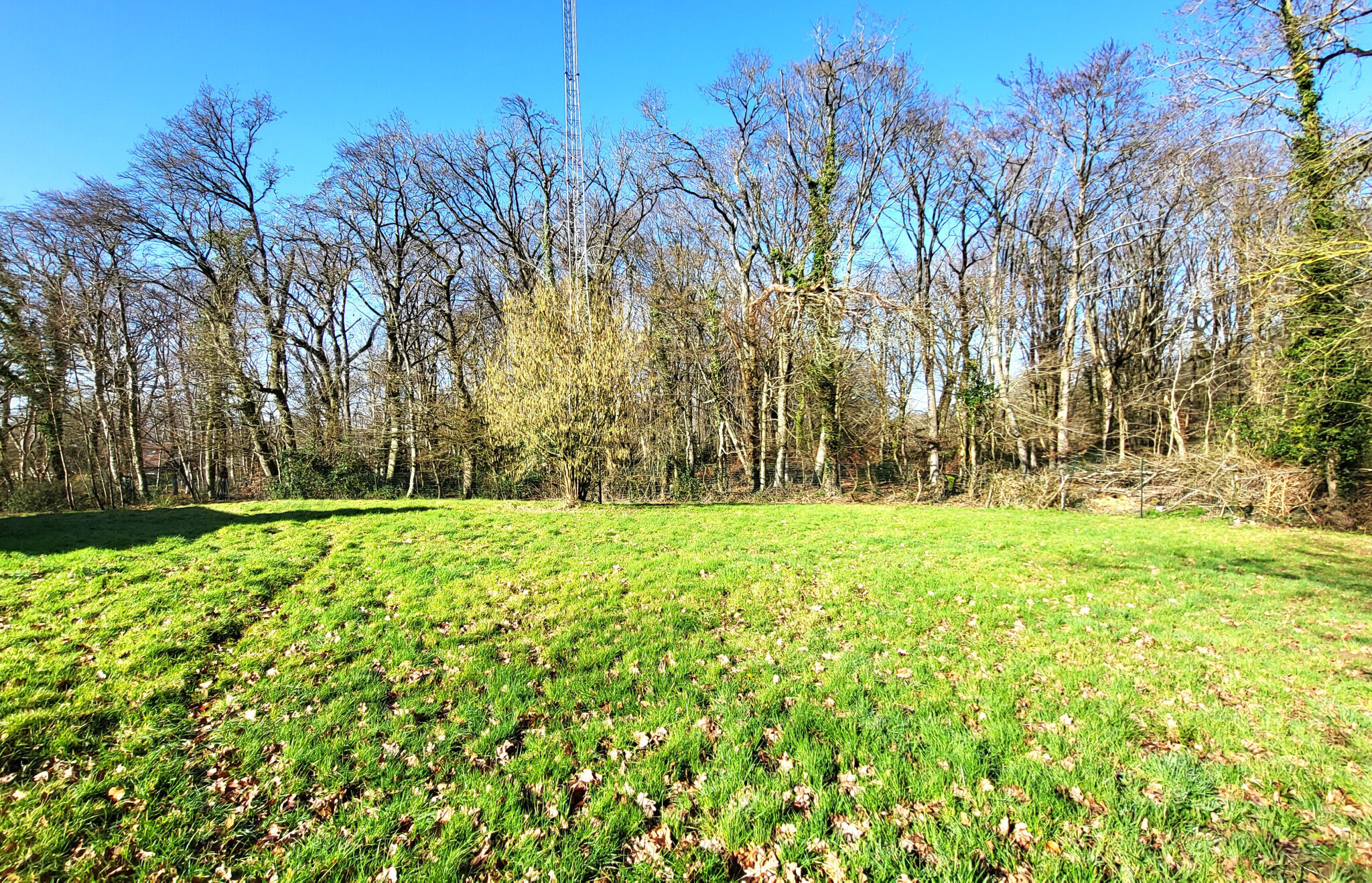 Photo 2 — L'AGENCE DES REMPARTS