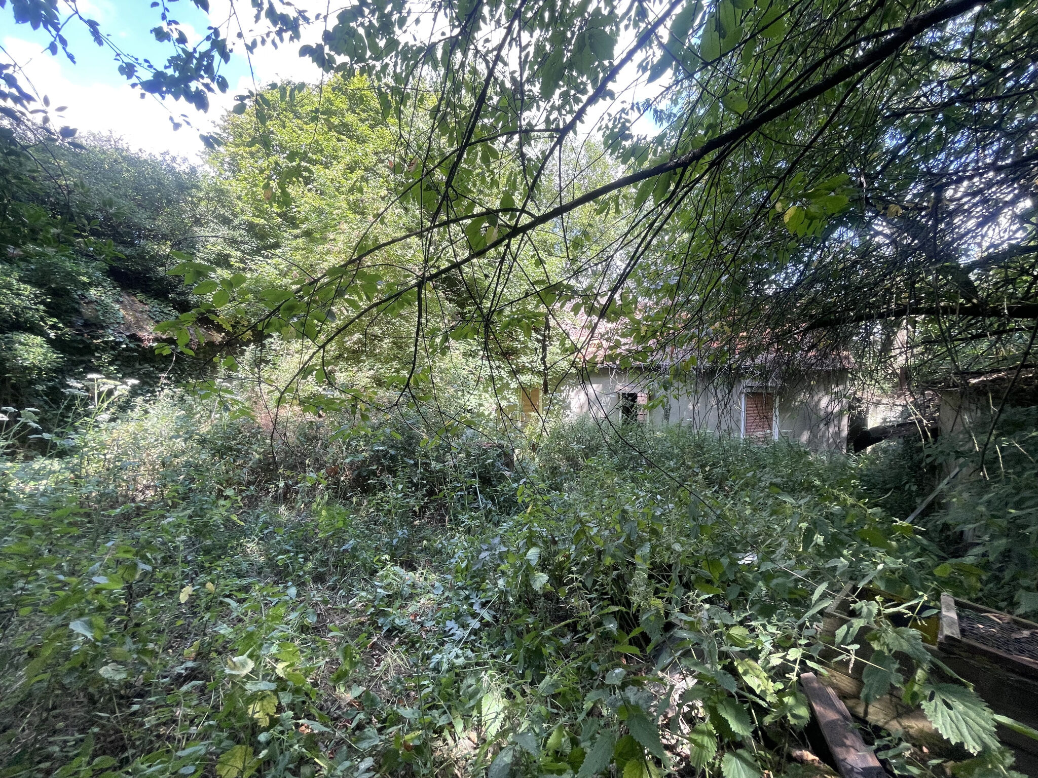 Photo 7 — L'AGENCE DES REMPARTS