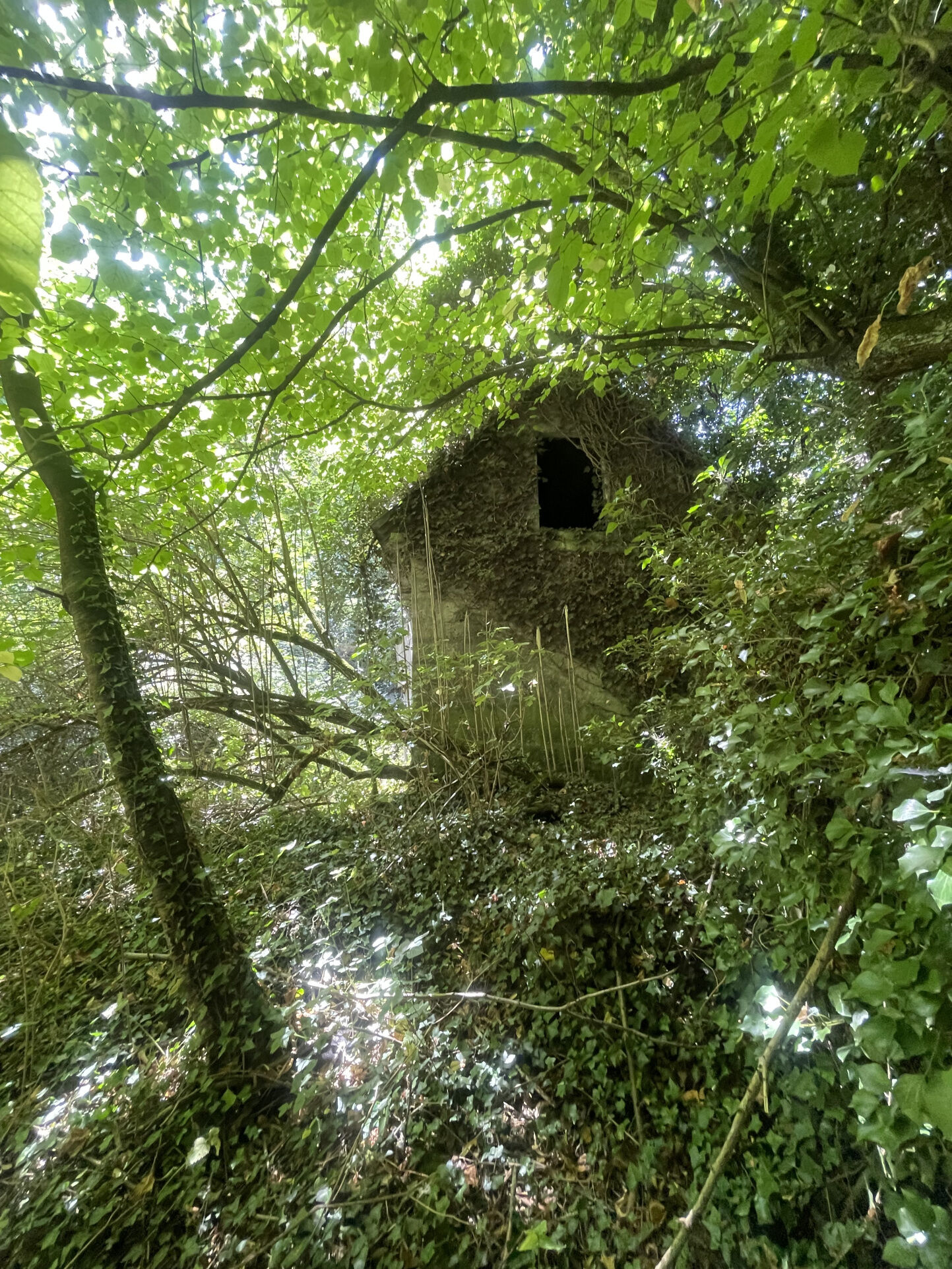 Photo 6 — L'AGENCE DES REMPARTS