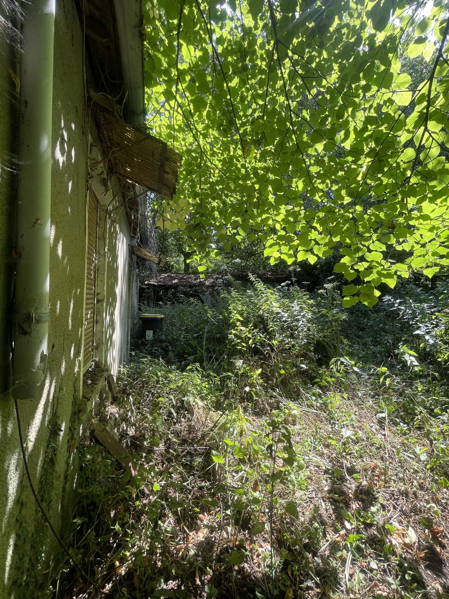 Photo 3 — L'AGENCE DES REMPARTS