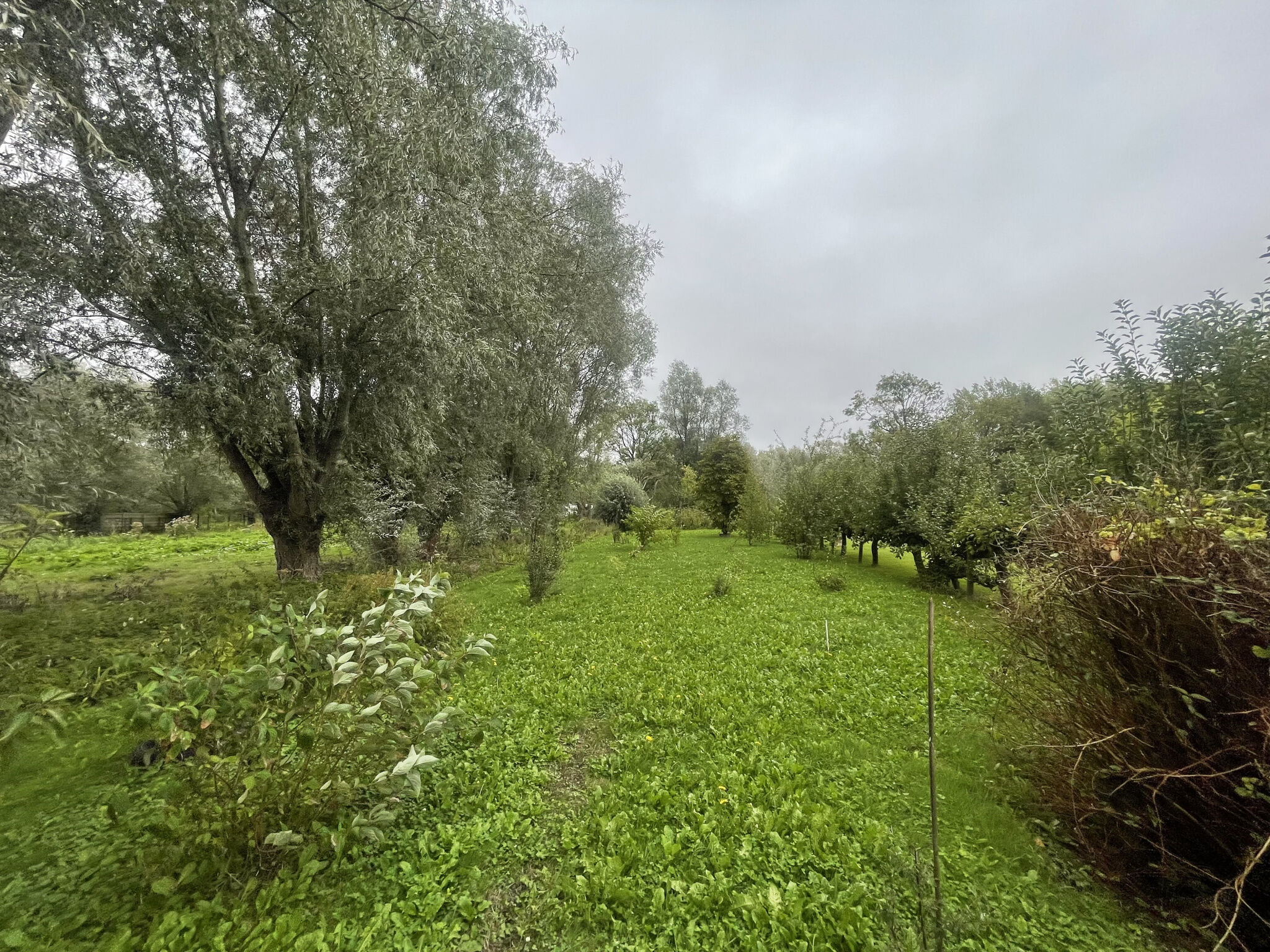 Photo 11 — L'AGENCE DES REMPARTS