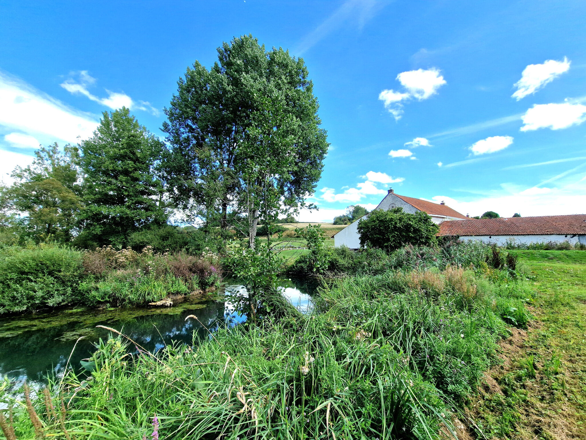 Photo 21 — L'AGENCE DES REMPARTS