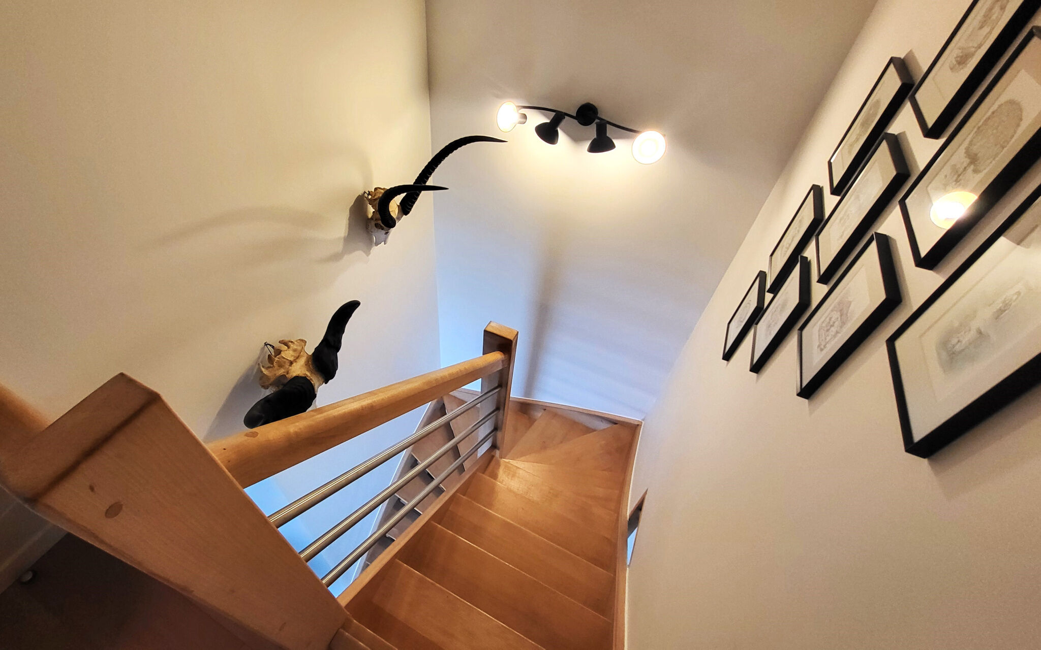Photo 24 — L'AGENCE DES REMPARTS