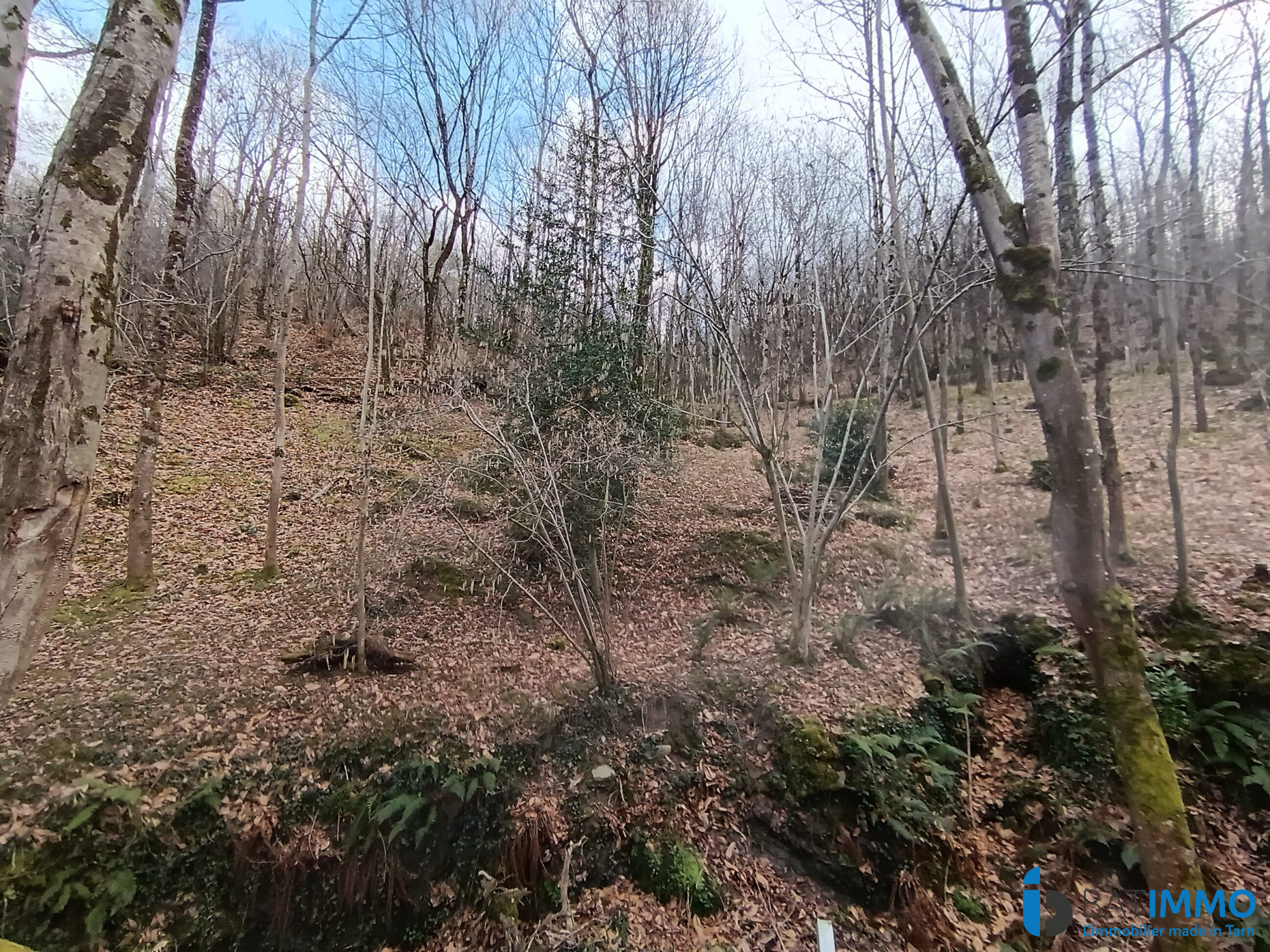 Photo 16 — BAT'IMMO FRANCE