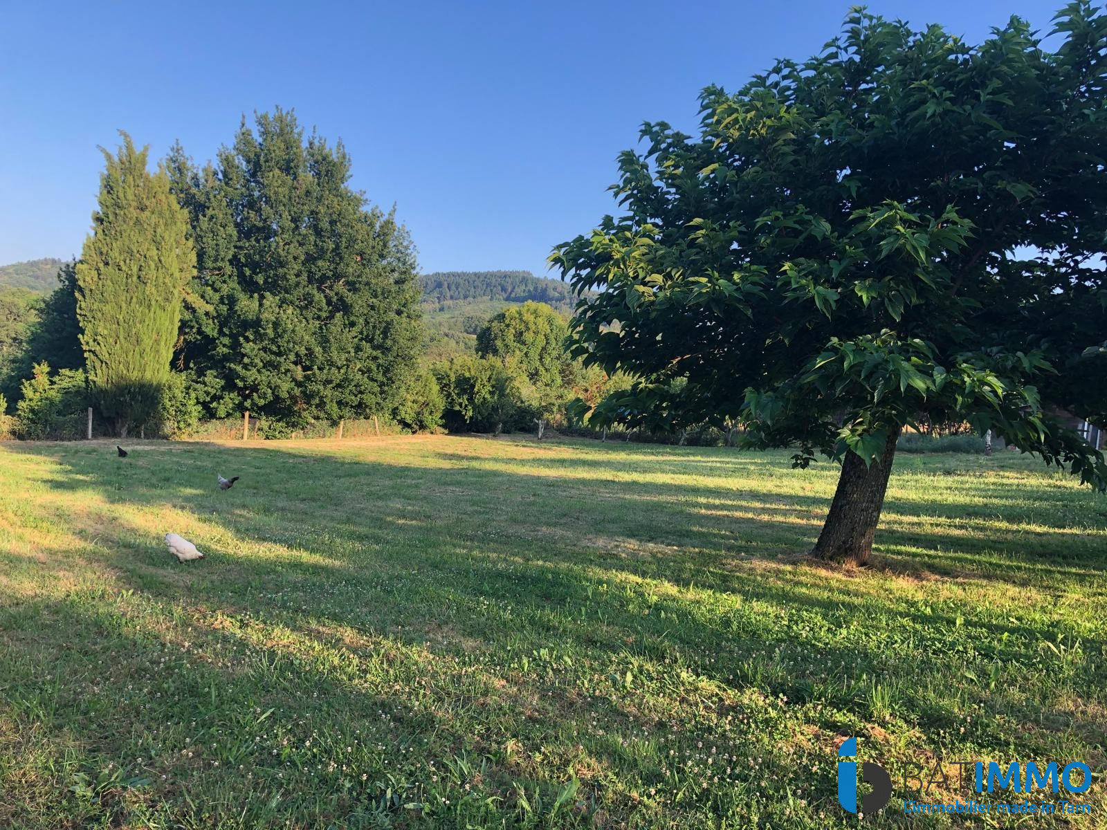 Photo 7 — BAT'IMMO FRANCE