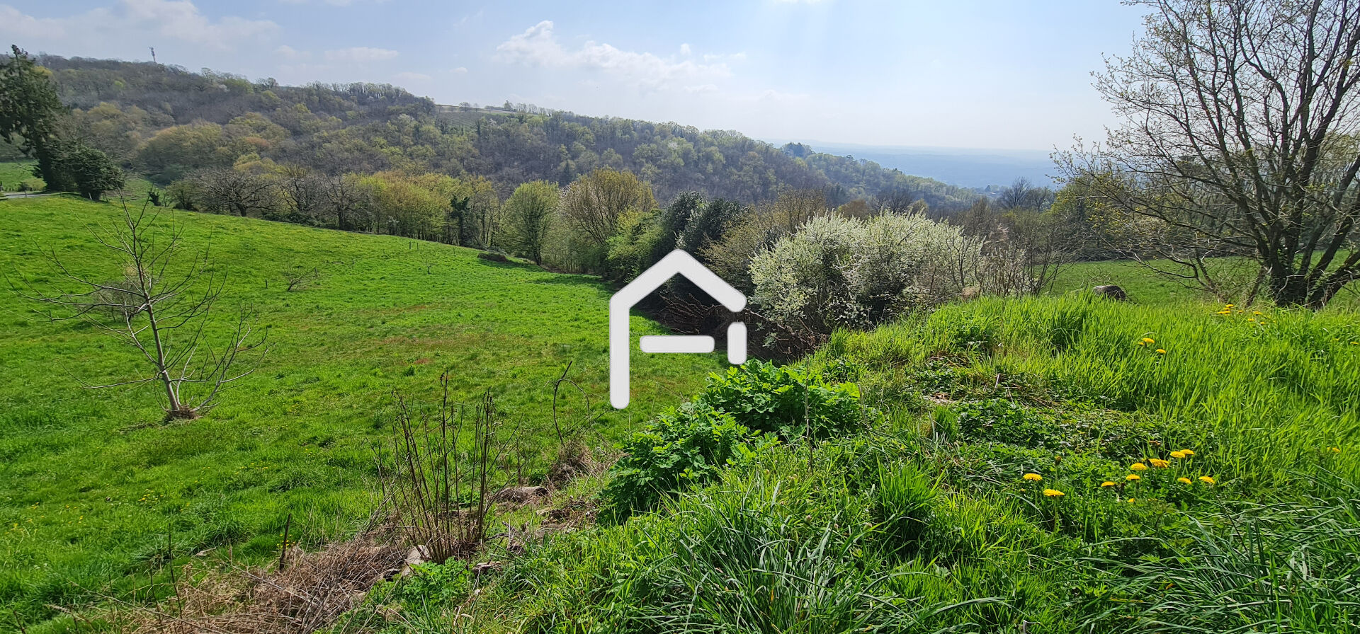 Photo 7 — FRANCE PROPRIO