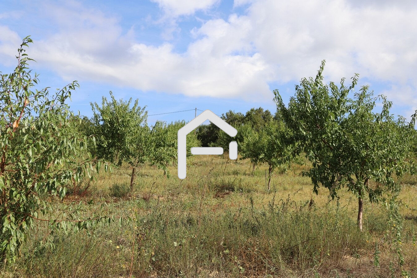 Photo 16 — FRANCE PROPRIO
