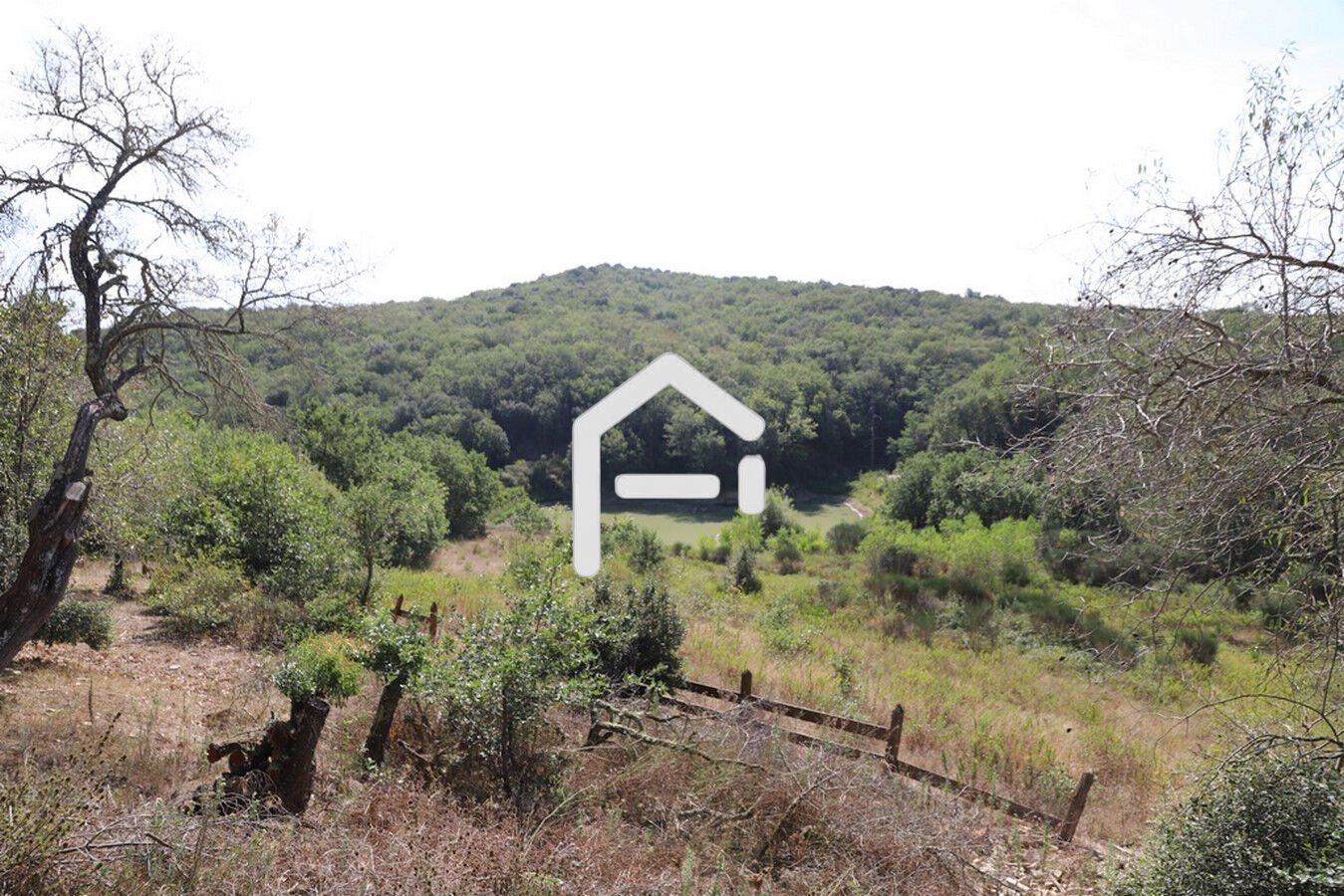 Photo 12 — FRANCE PROPRIO