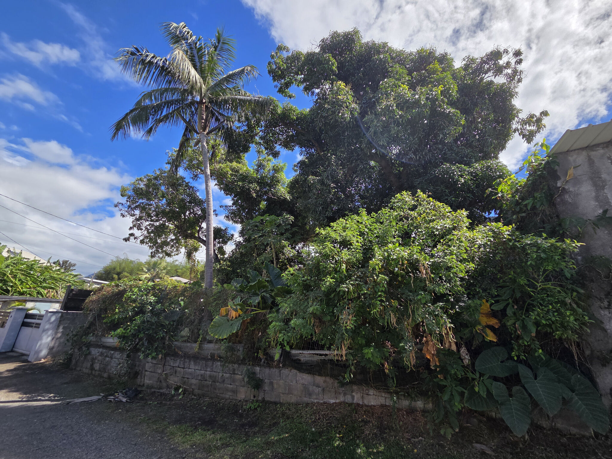 Photo 2 — RUN INVEST IMMOBILIER