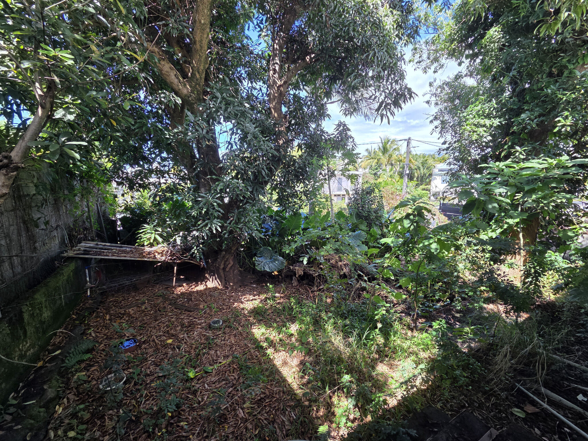 Photo 6 — RUN INVEST IMMOBILIER