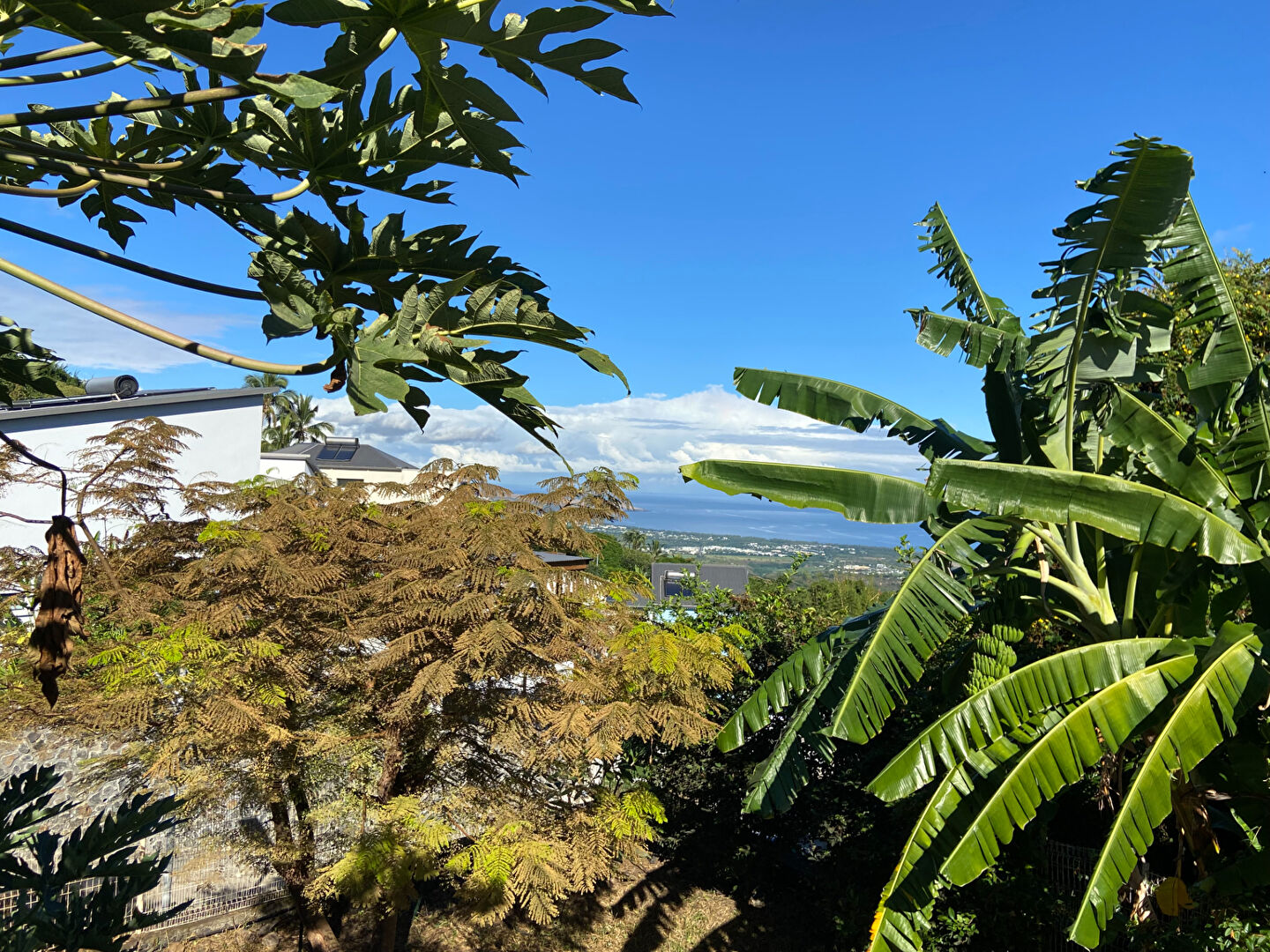 Photo 18 — AUSTRAL IMMOBILIER