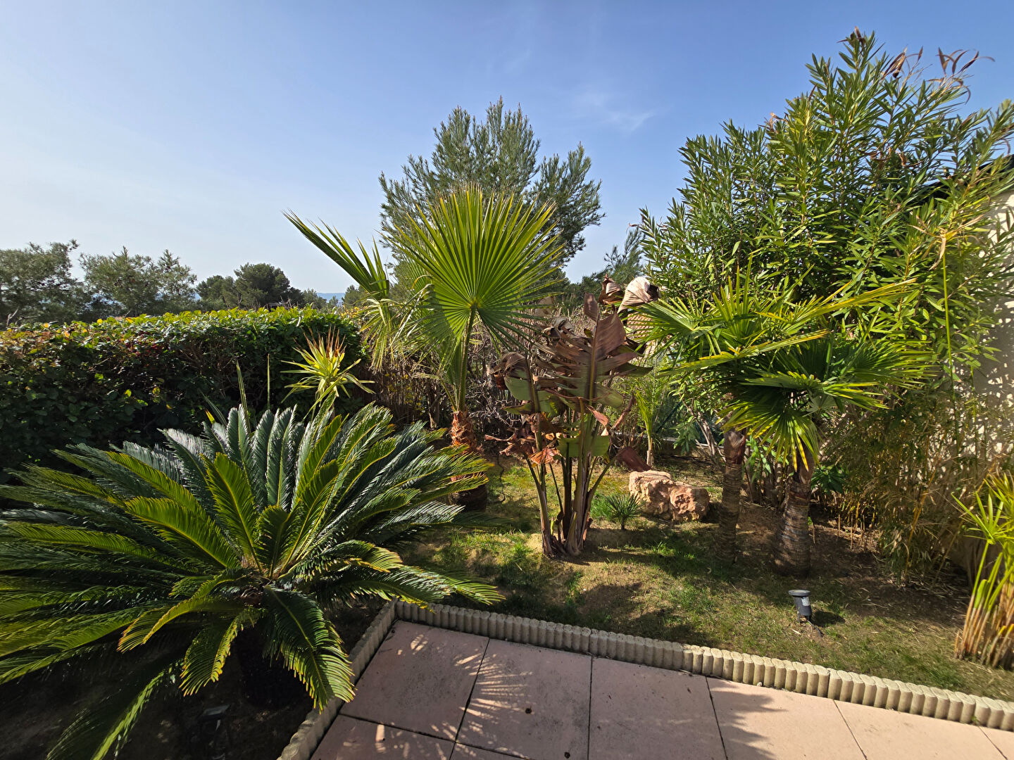 Photo 16 — AJUSTE IMMOBILIER