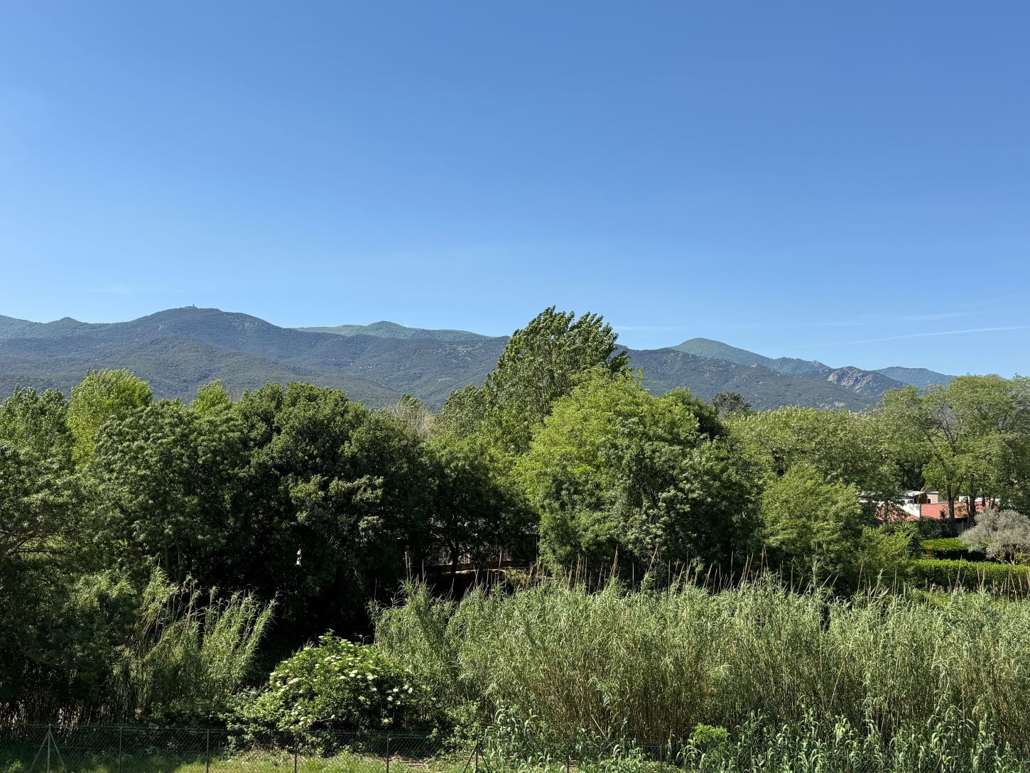 Photo 7 — A IMMO