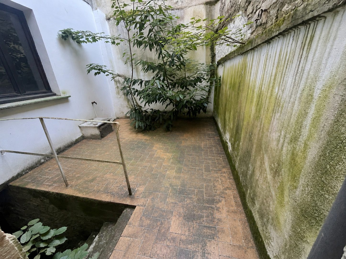 Photo 4 — AGENCE D'EXPERTS