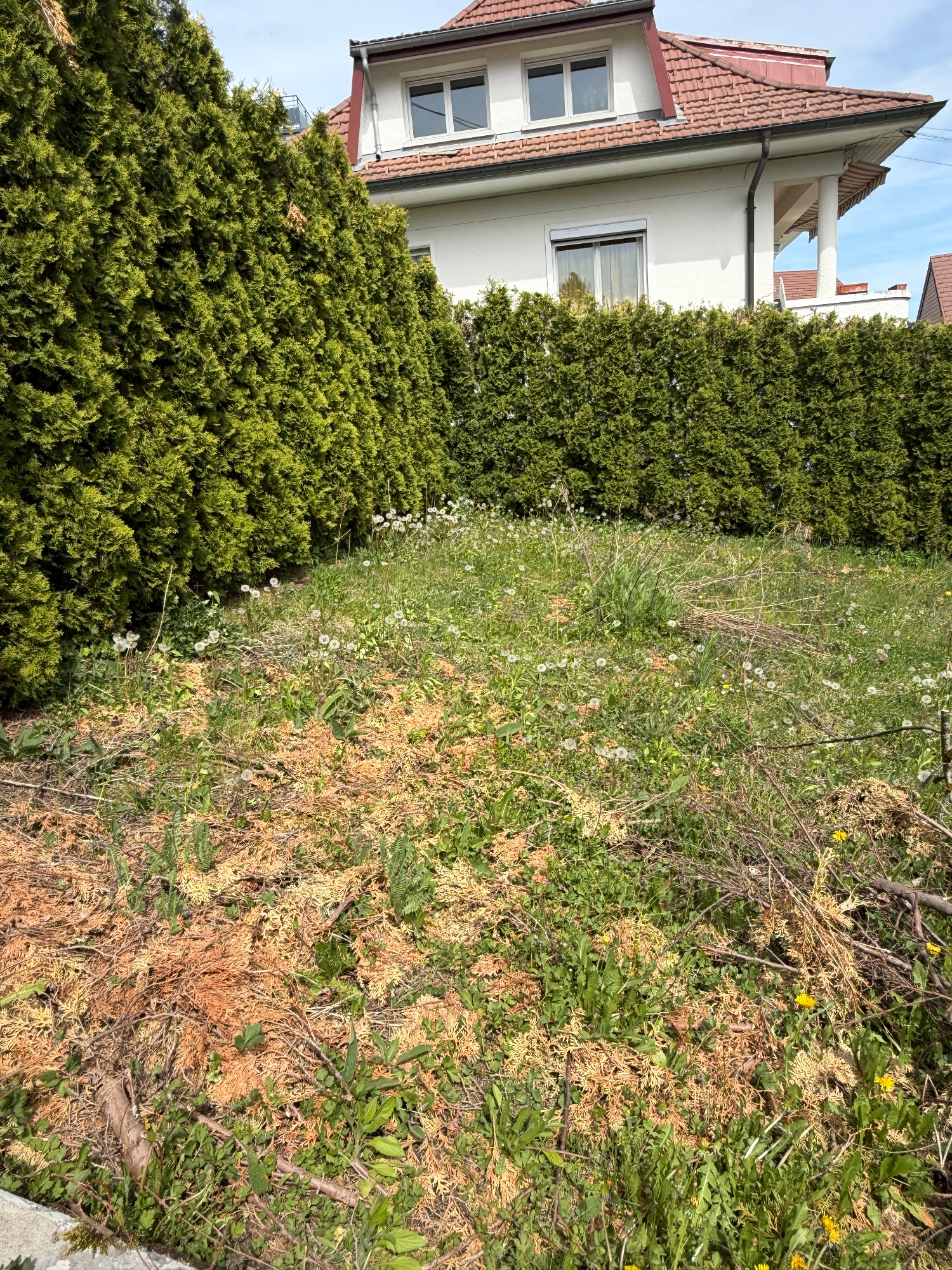 Photo 15 — AGENCE D'EXPERTS
