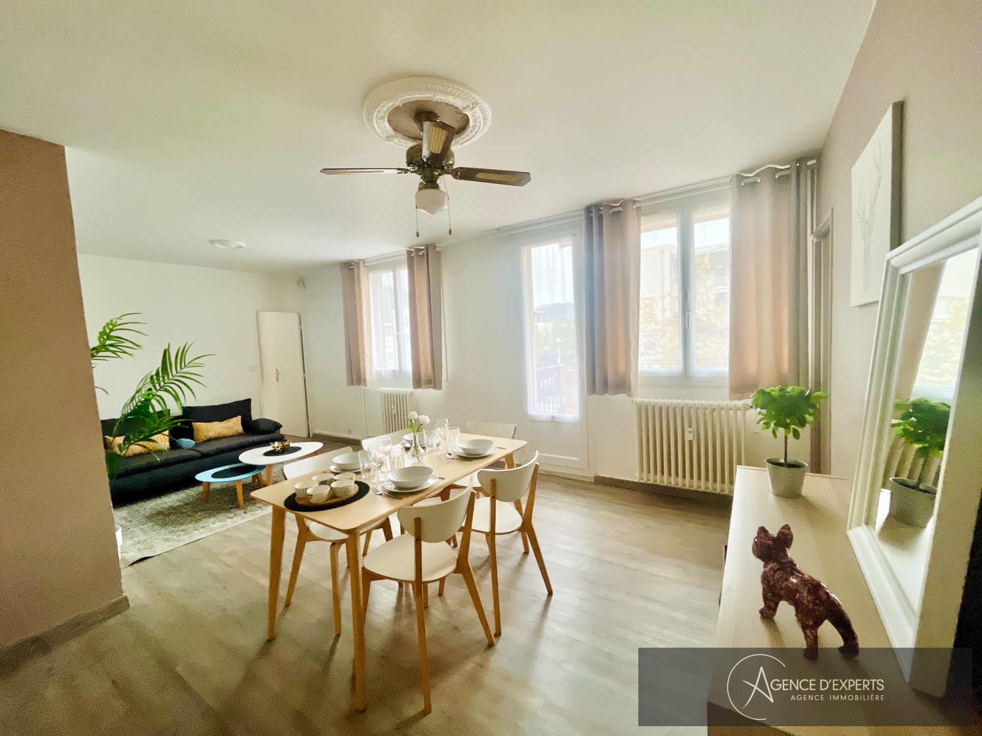 Photo 8 — AGENCE D'EXPERTS