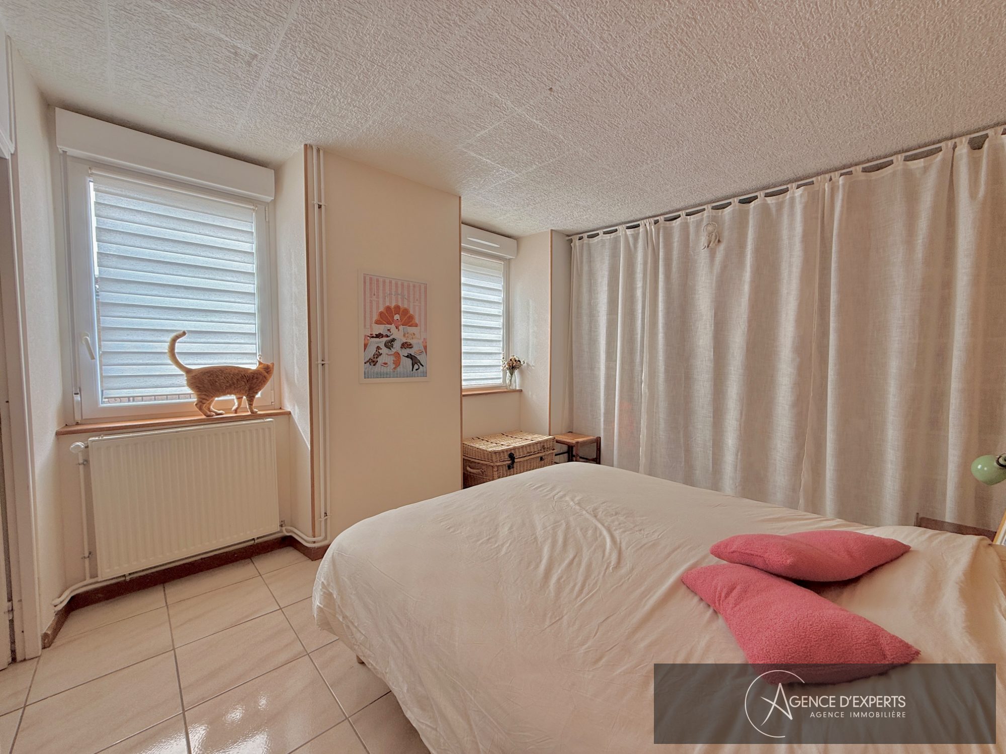 Photo 6 — AGENCE D'EXPERTS