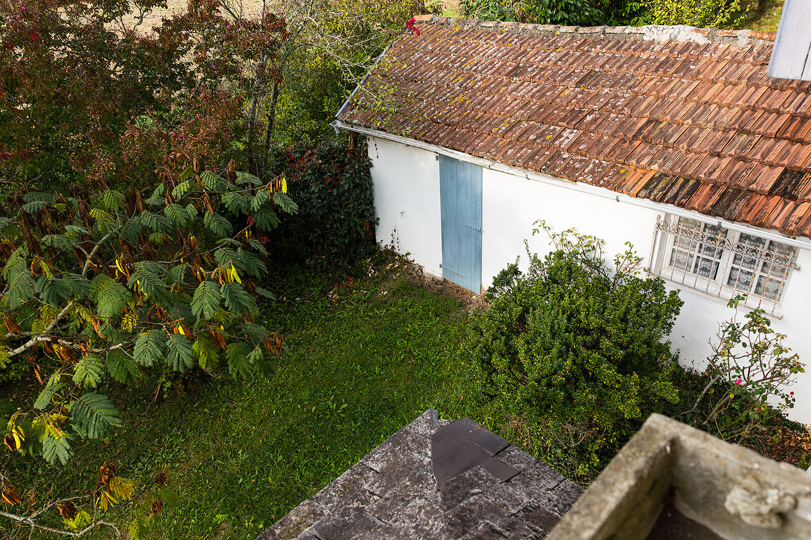 Photo 5 — CURUTCHET IMMO