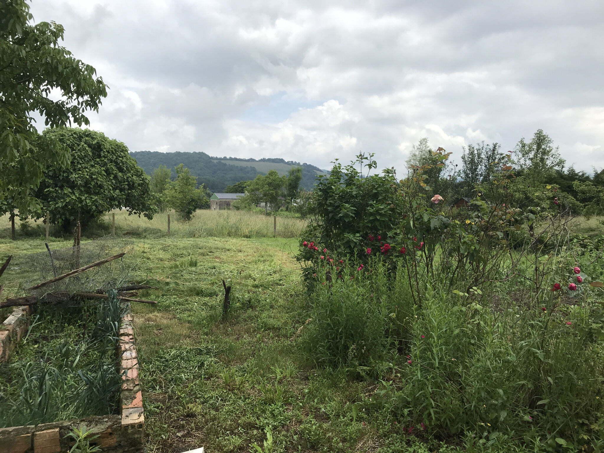 Photo 18 — CURUTCHET IMMO