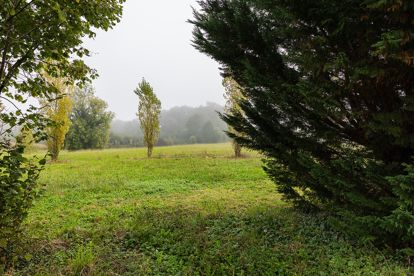 Photo 14 — CURUTCHET IMMO