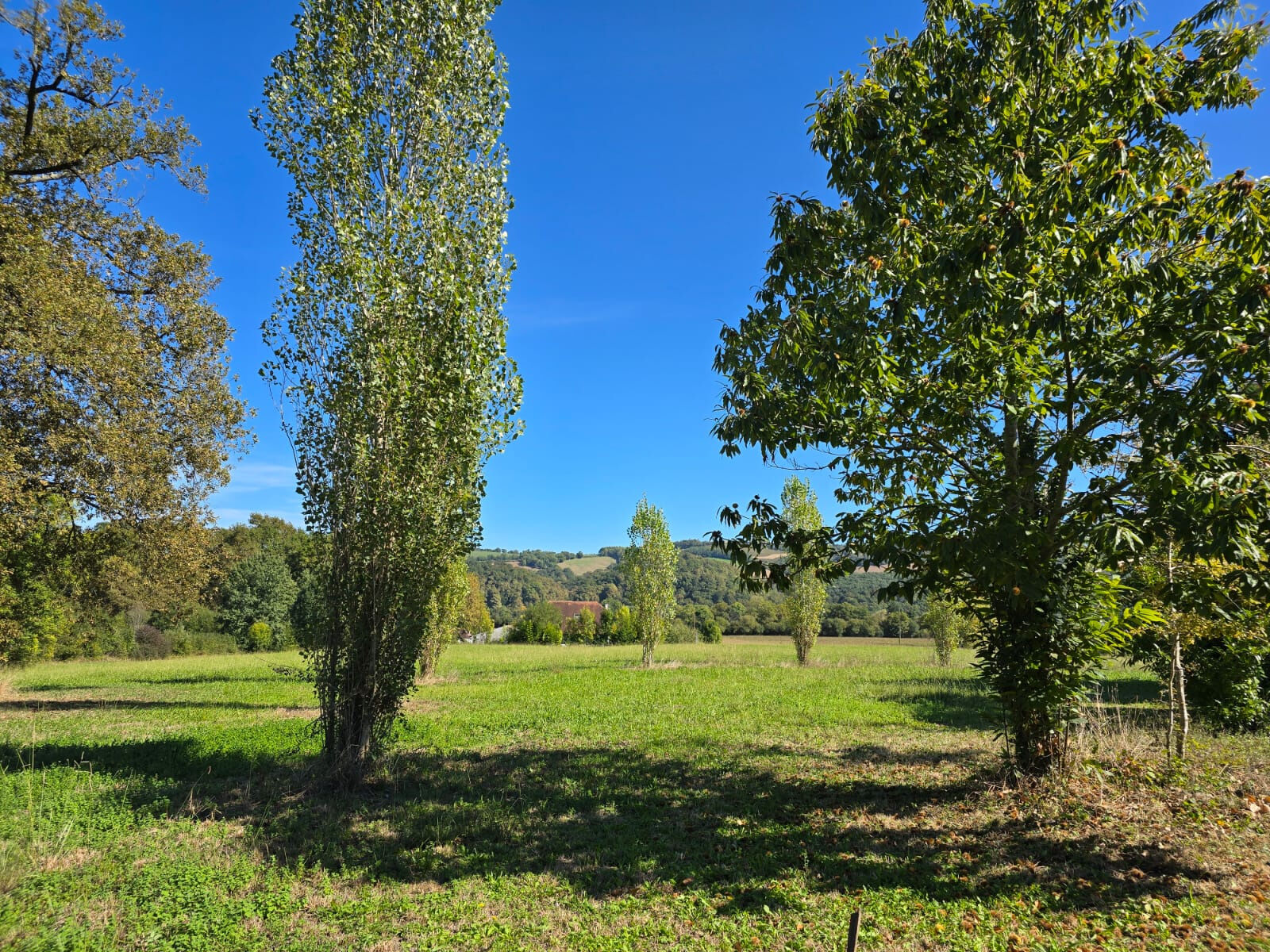 Photo 15 — CURUTCHET IMMO