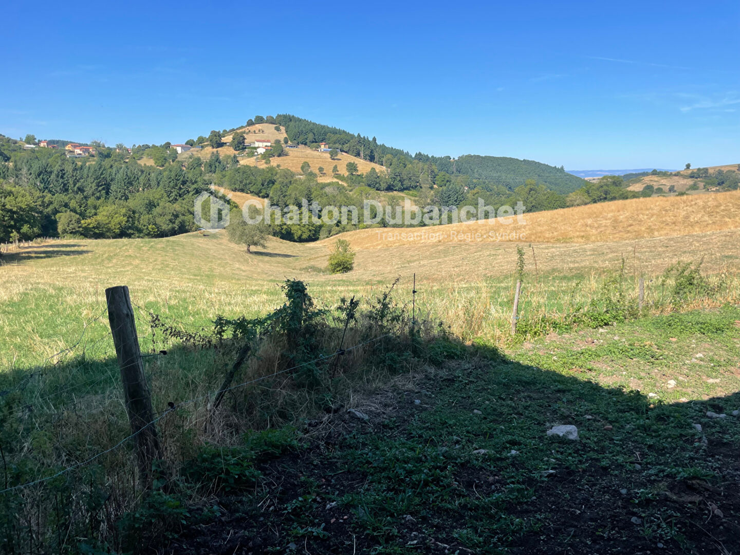 Photo 14 — CHALTON & DUBANCHET