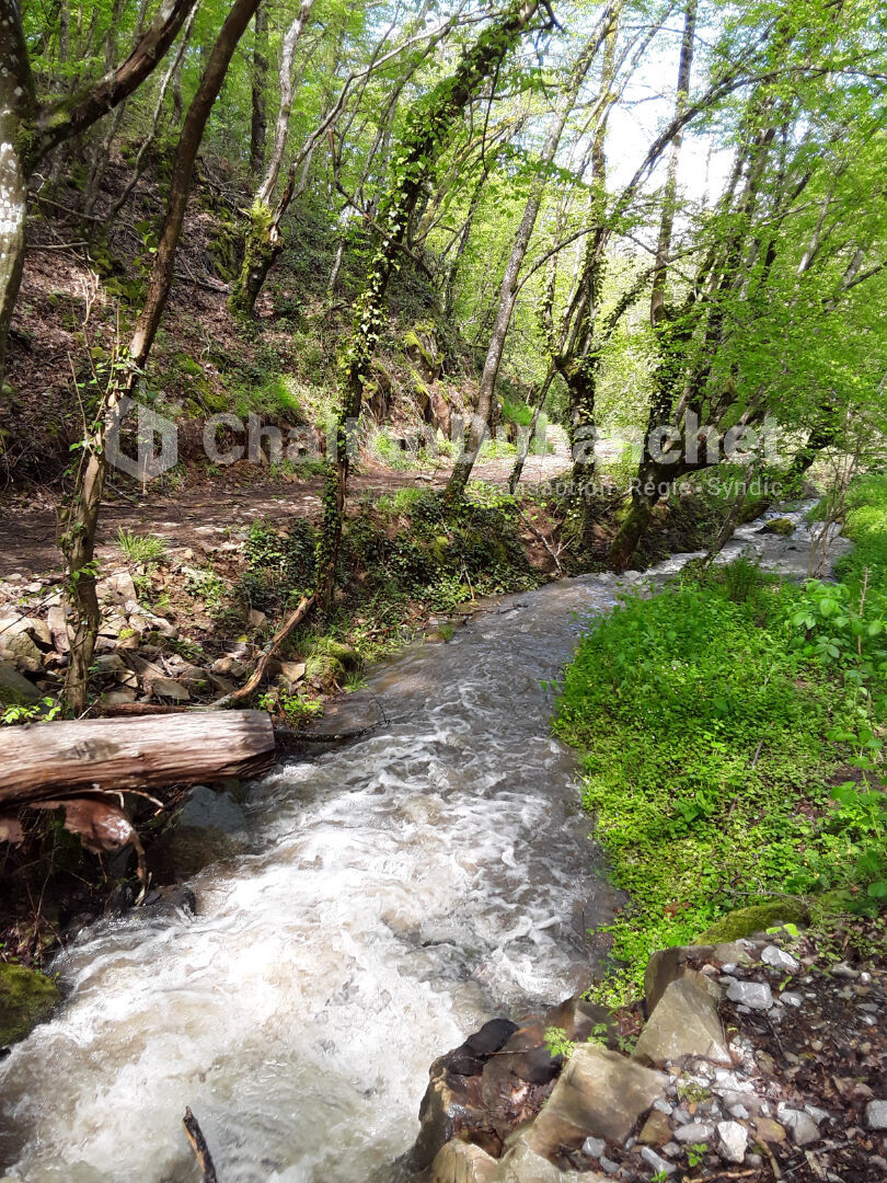 Photo 8 — CHALTON & DUBANCHET