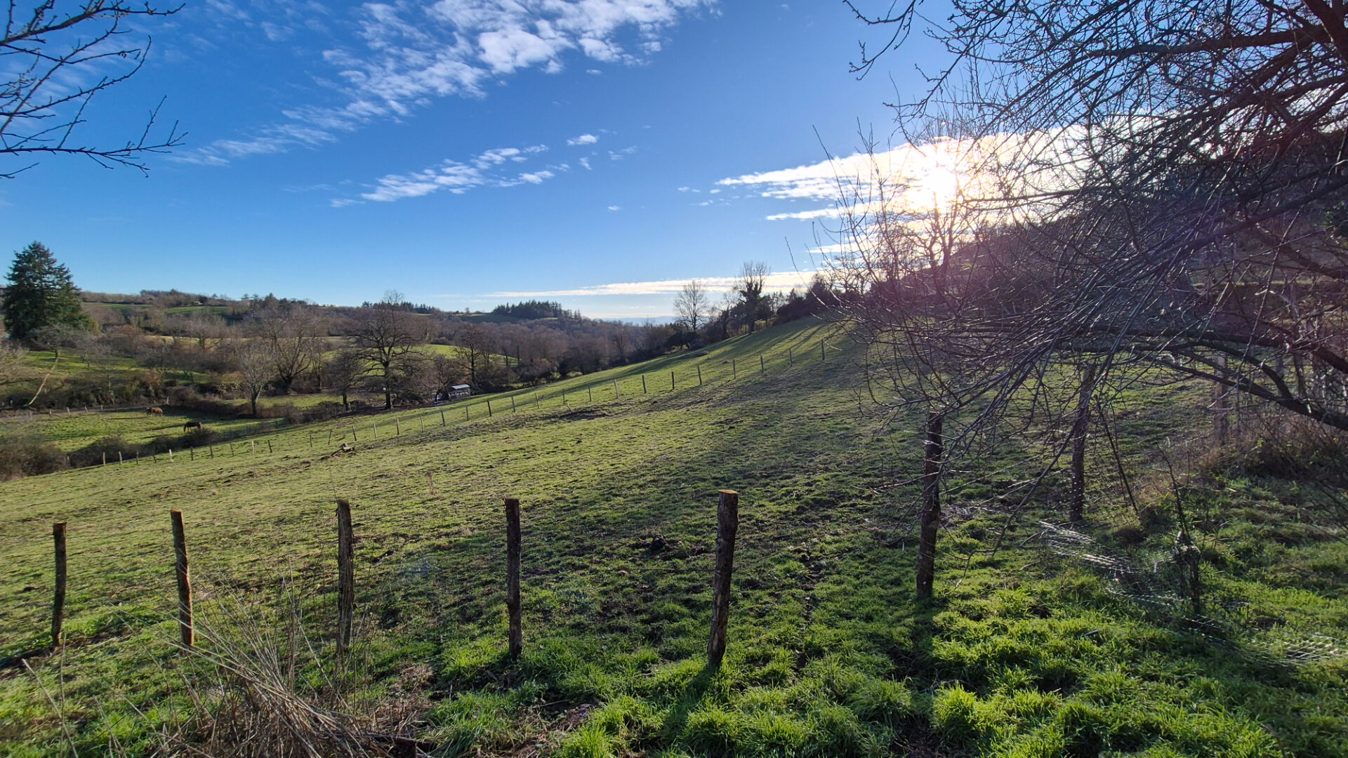 Photo 18 — CHALTON & DUBANCHET